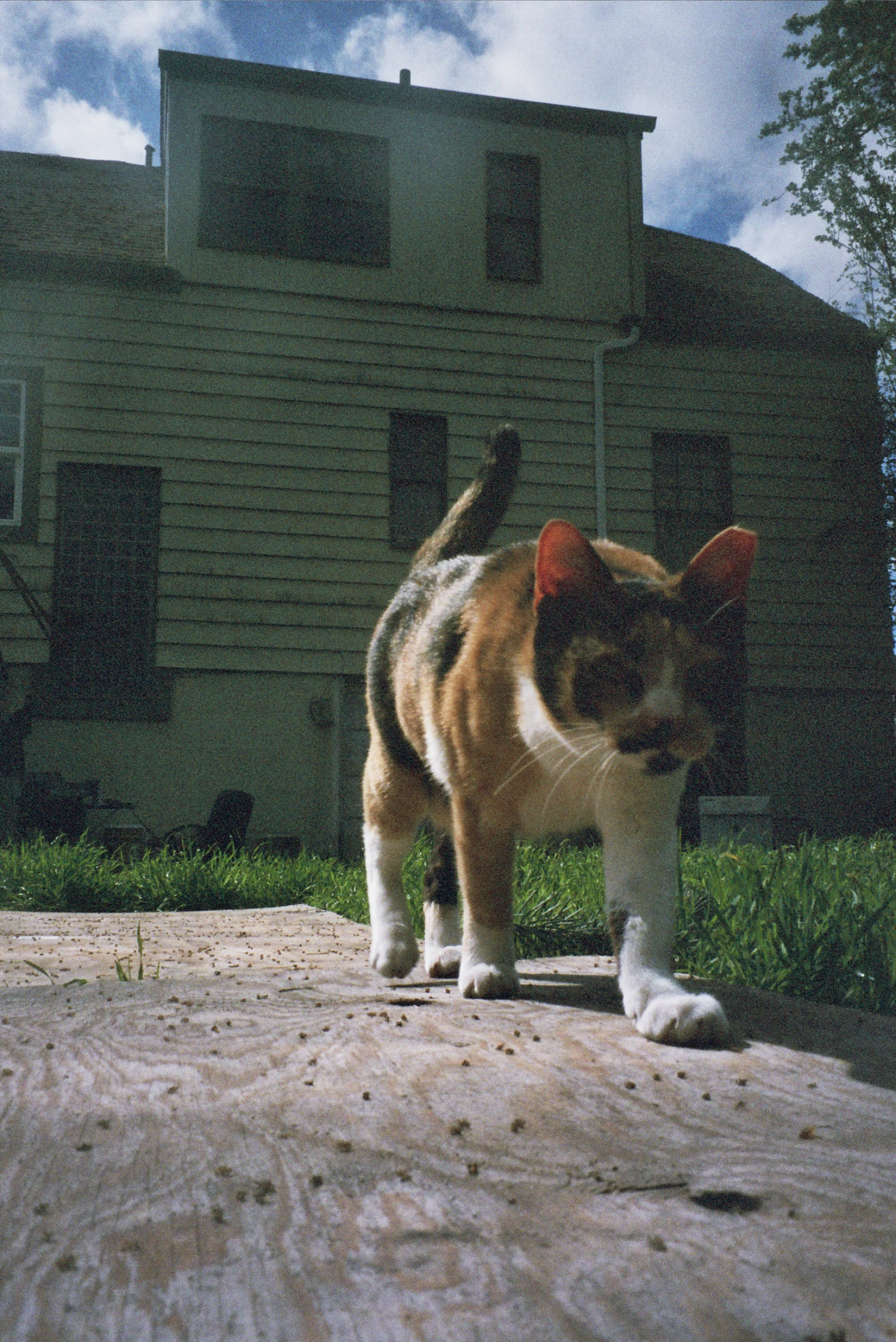 _23_0131.jpg