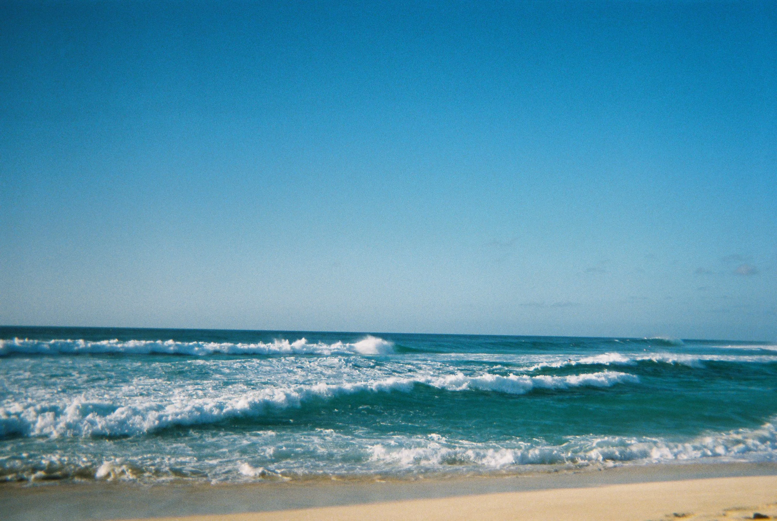 SPRING_04.jpg