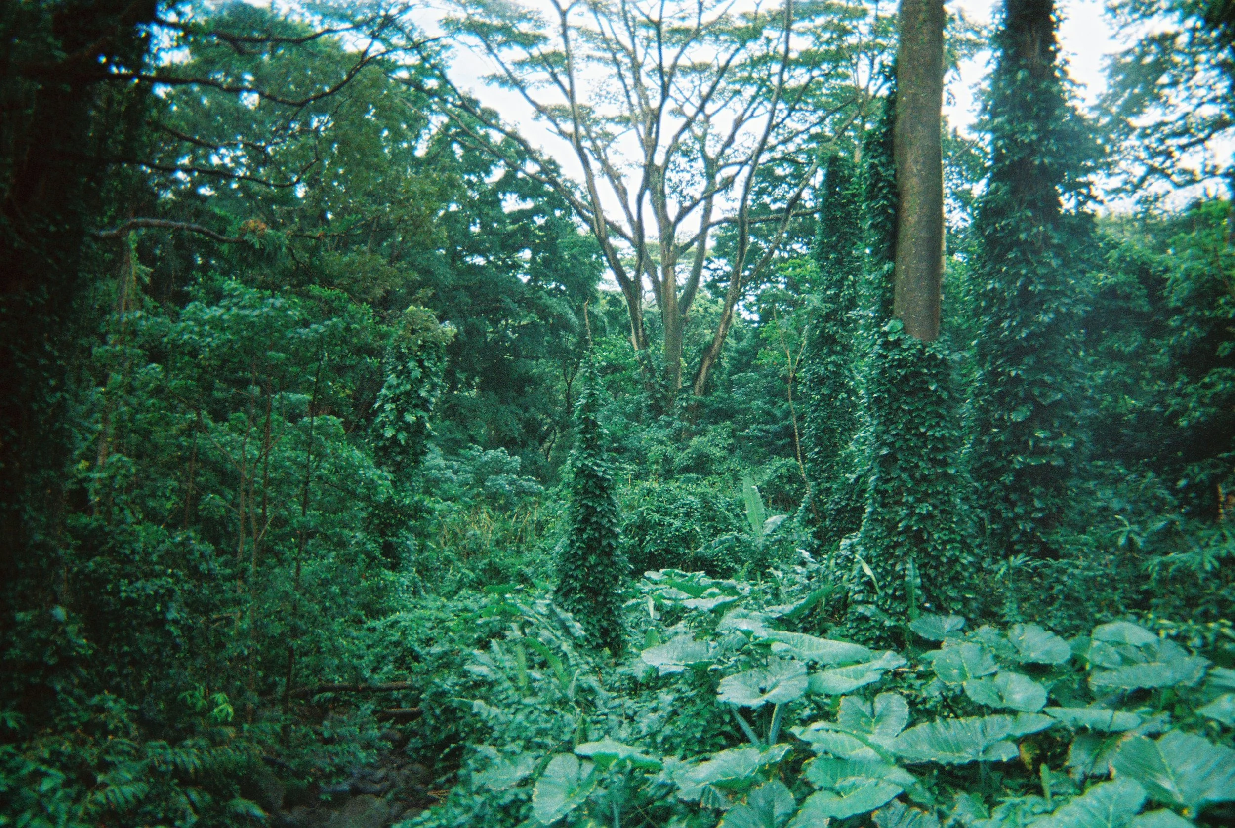 SPRING_11.jpg