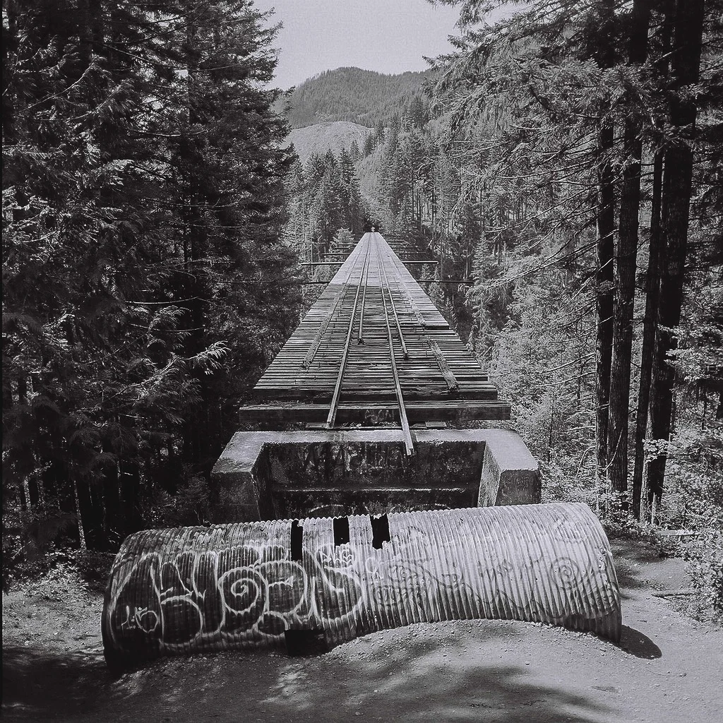 Location: Olympia NP, Washington // October, 2016 // Film Stock: Ilford HP5+ // Camera: Zenza Bronica 6x6
