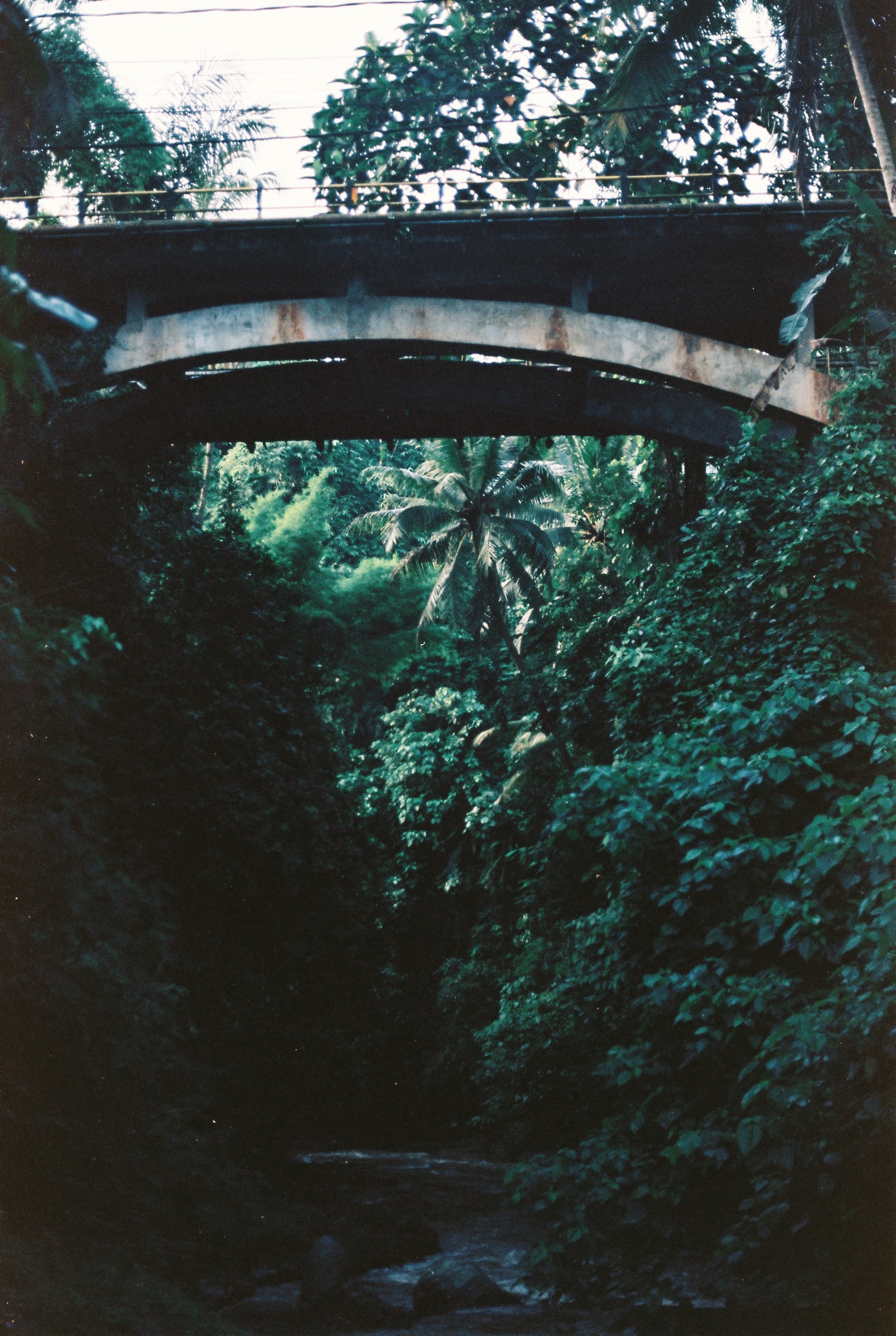 C1A75AF9-AEA1-4AB5-95B6-5A38E7F869CE.jpg