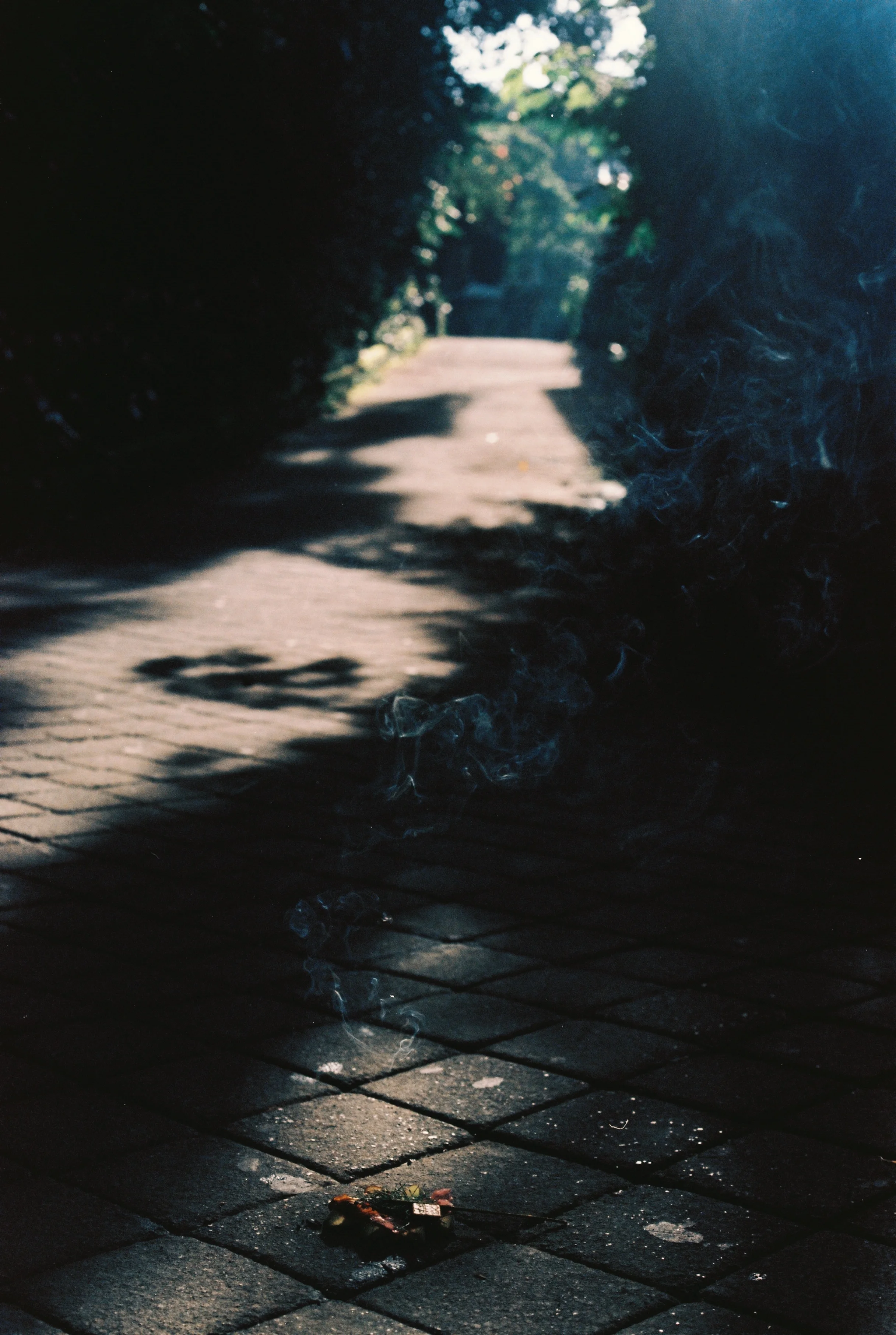 B989886C-DF86-439E-8355-203229C6EBB4.jpg