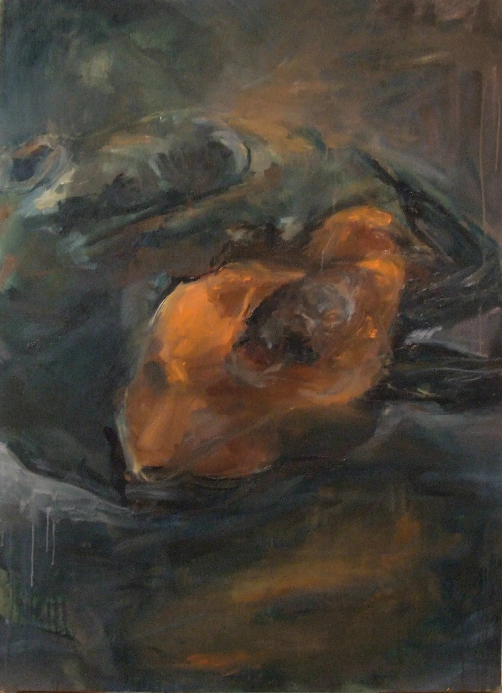 Salmon Head 2