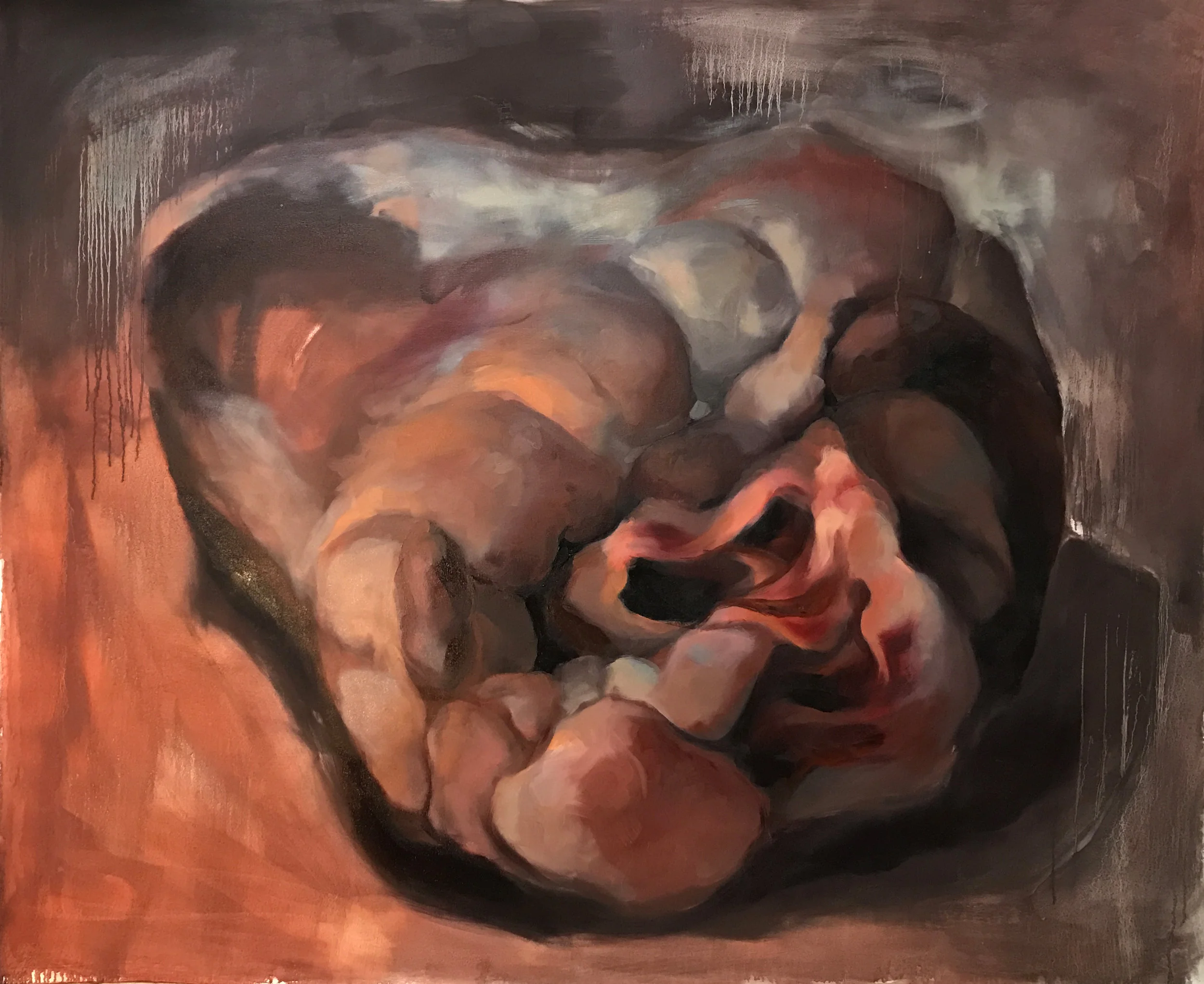 Lamb Heart
