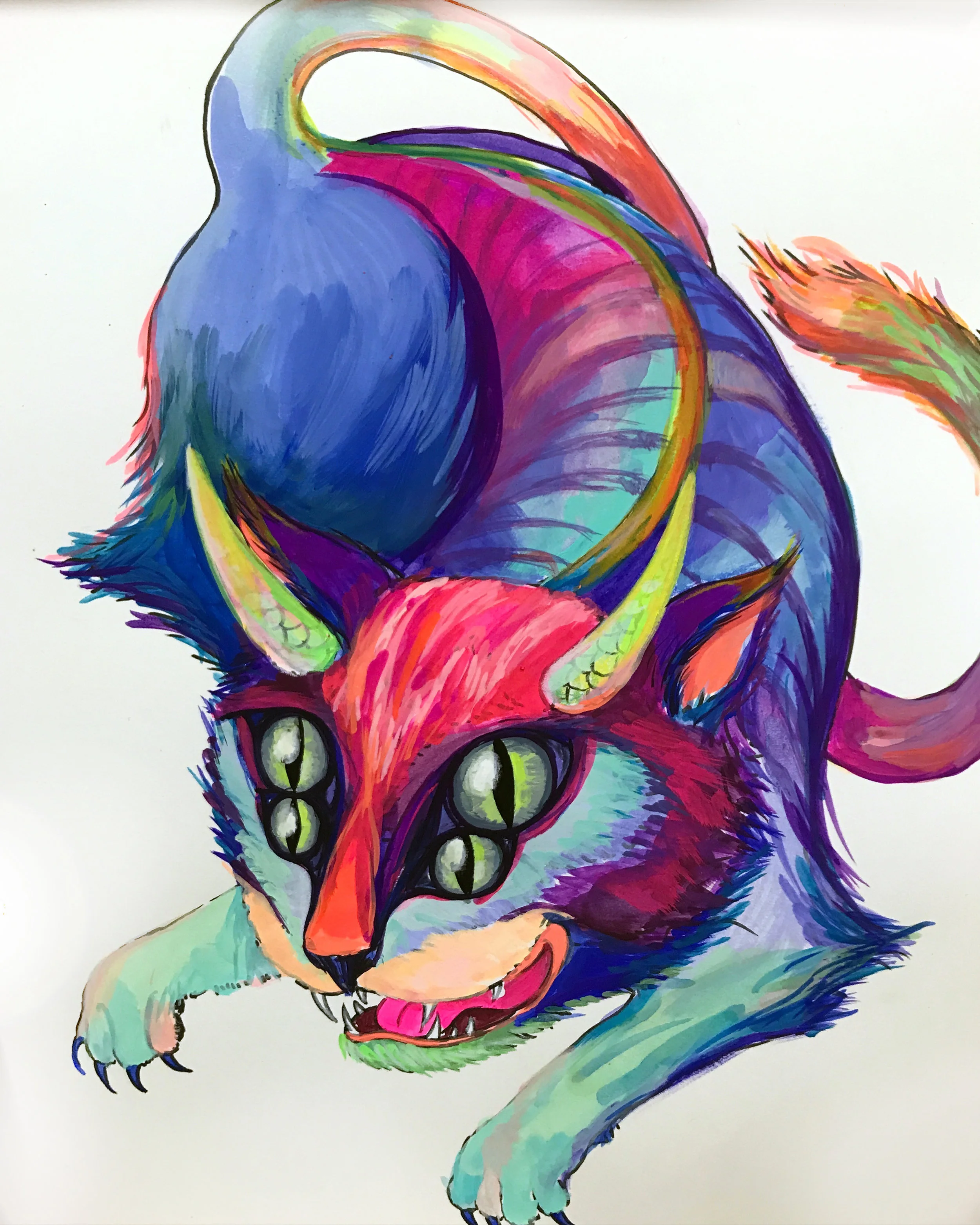 Four Eye Cat