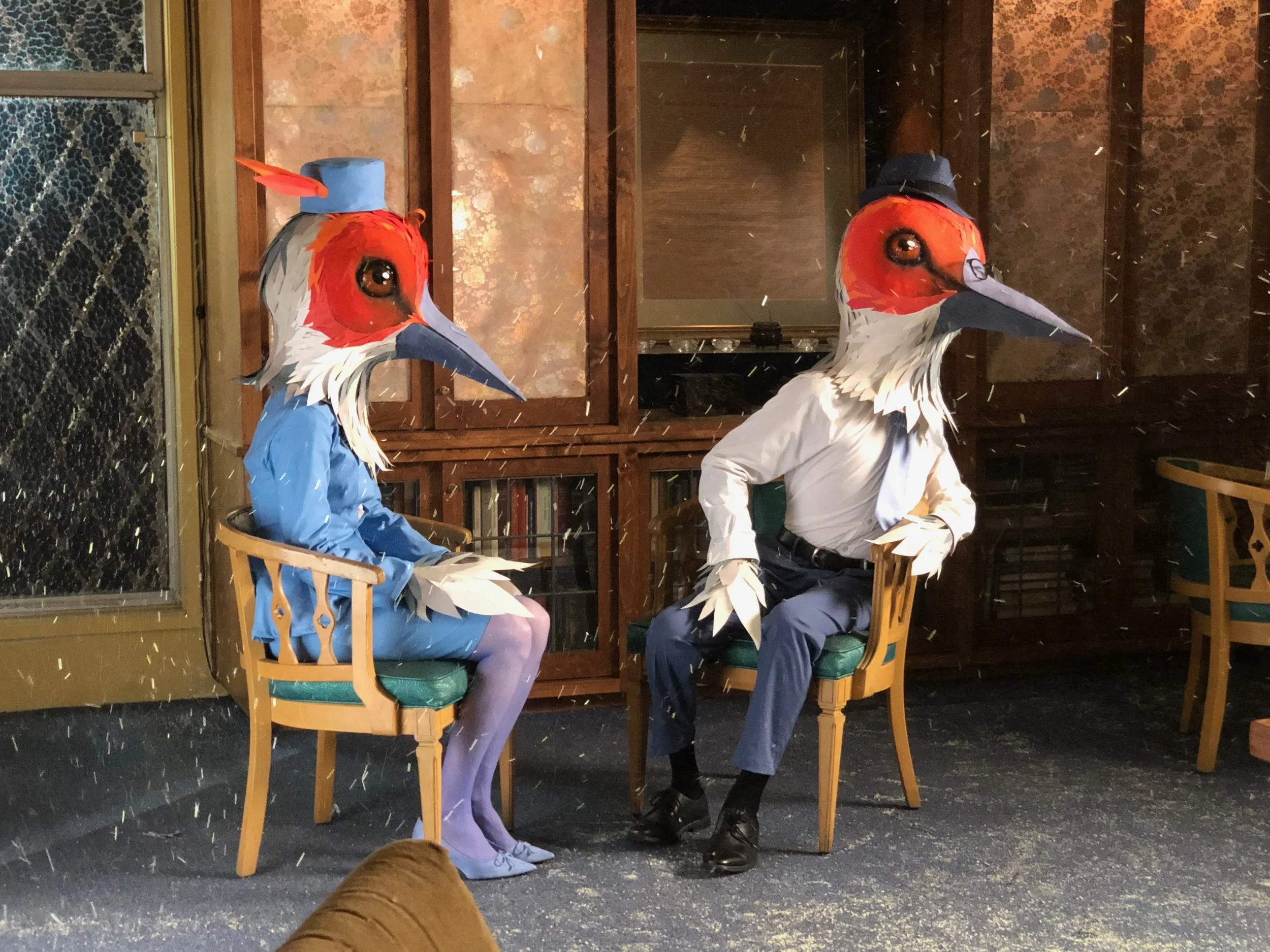 Storks on set
