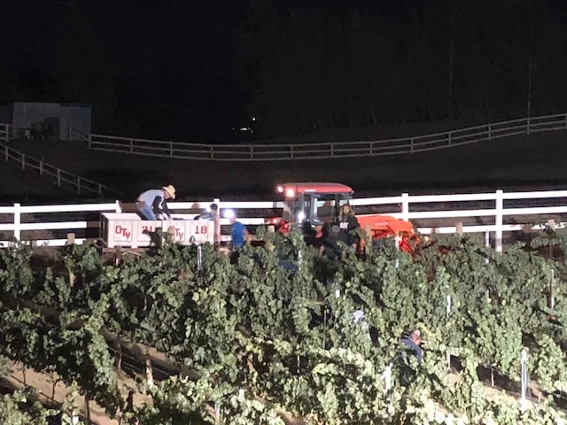 2018 Harvest 5am.