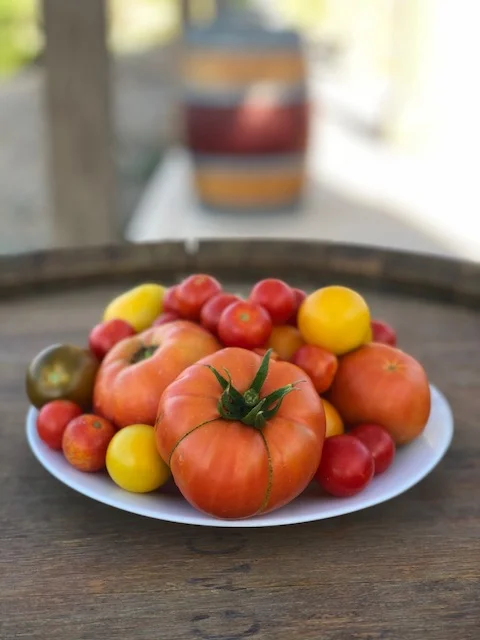 Fresh heirloom tomatoes from our garden.