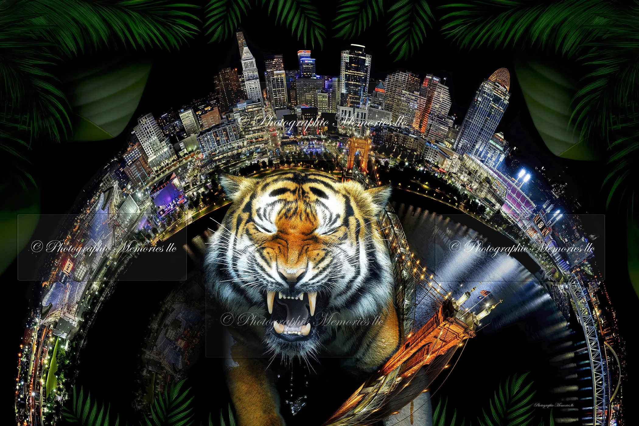 Cincinnati Tiger 1:2 Shere Night.jpg