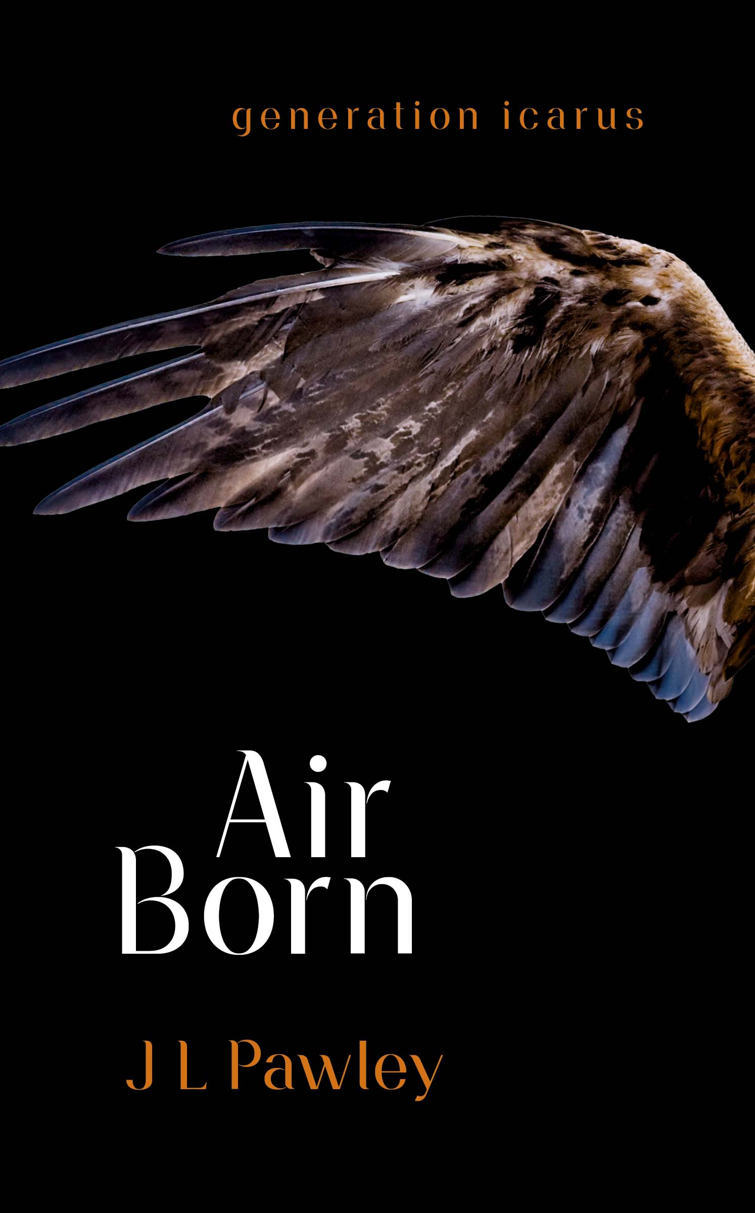 Air Born CVR_n.jpg