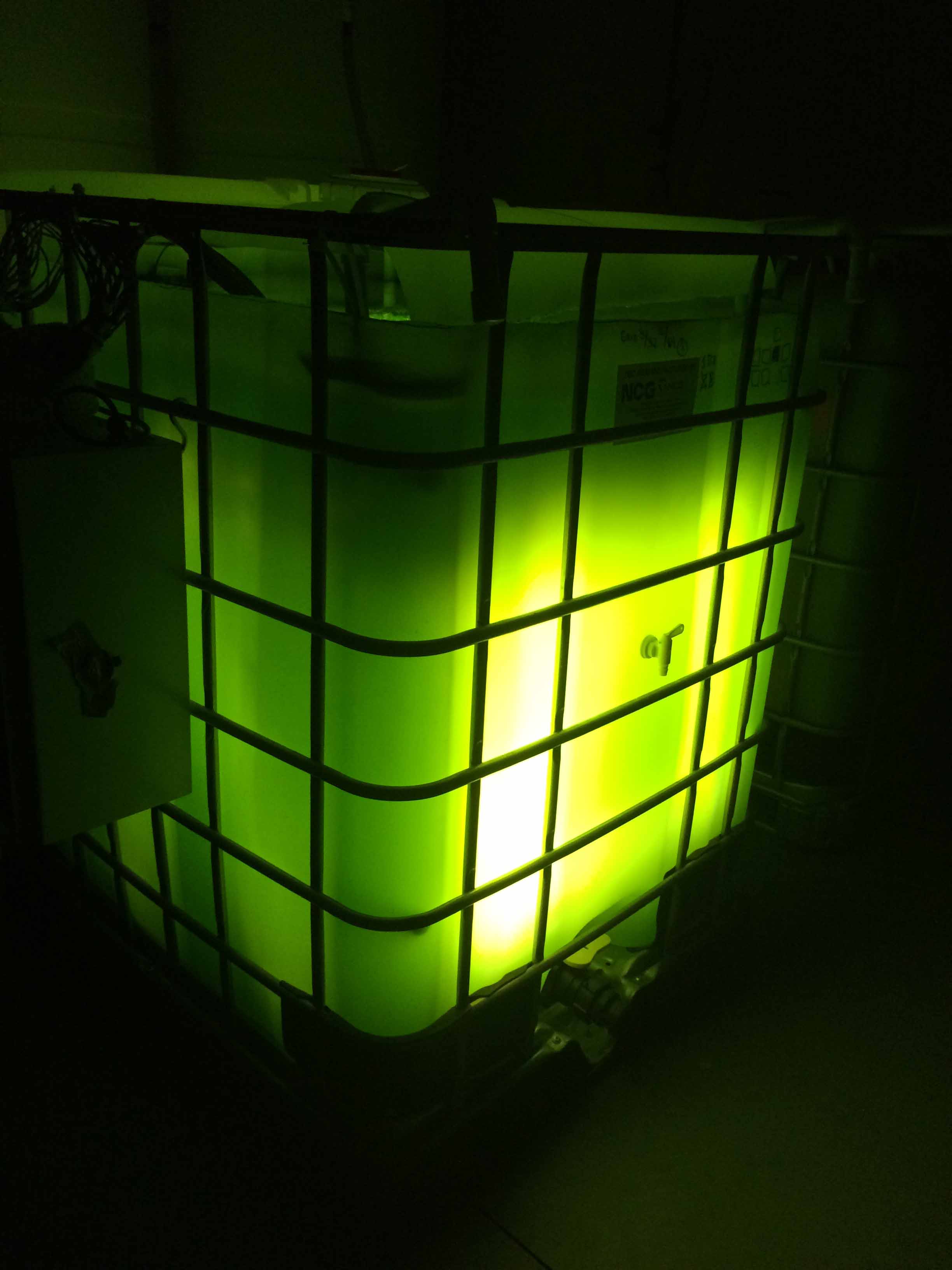 29 dec 2014 6 008.jpg