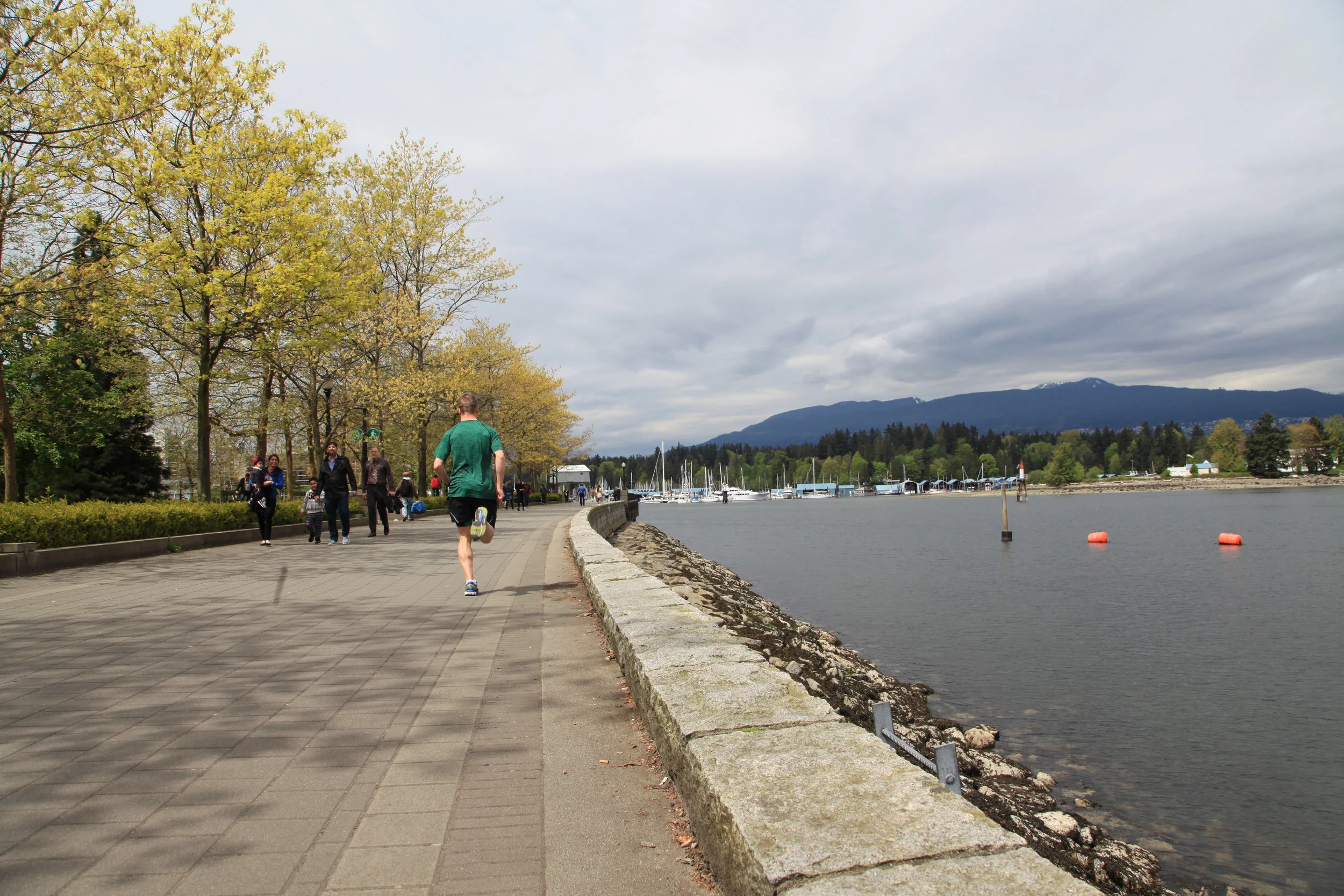 Ronhill Infinity Fuel Twin Short-15.JPG