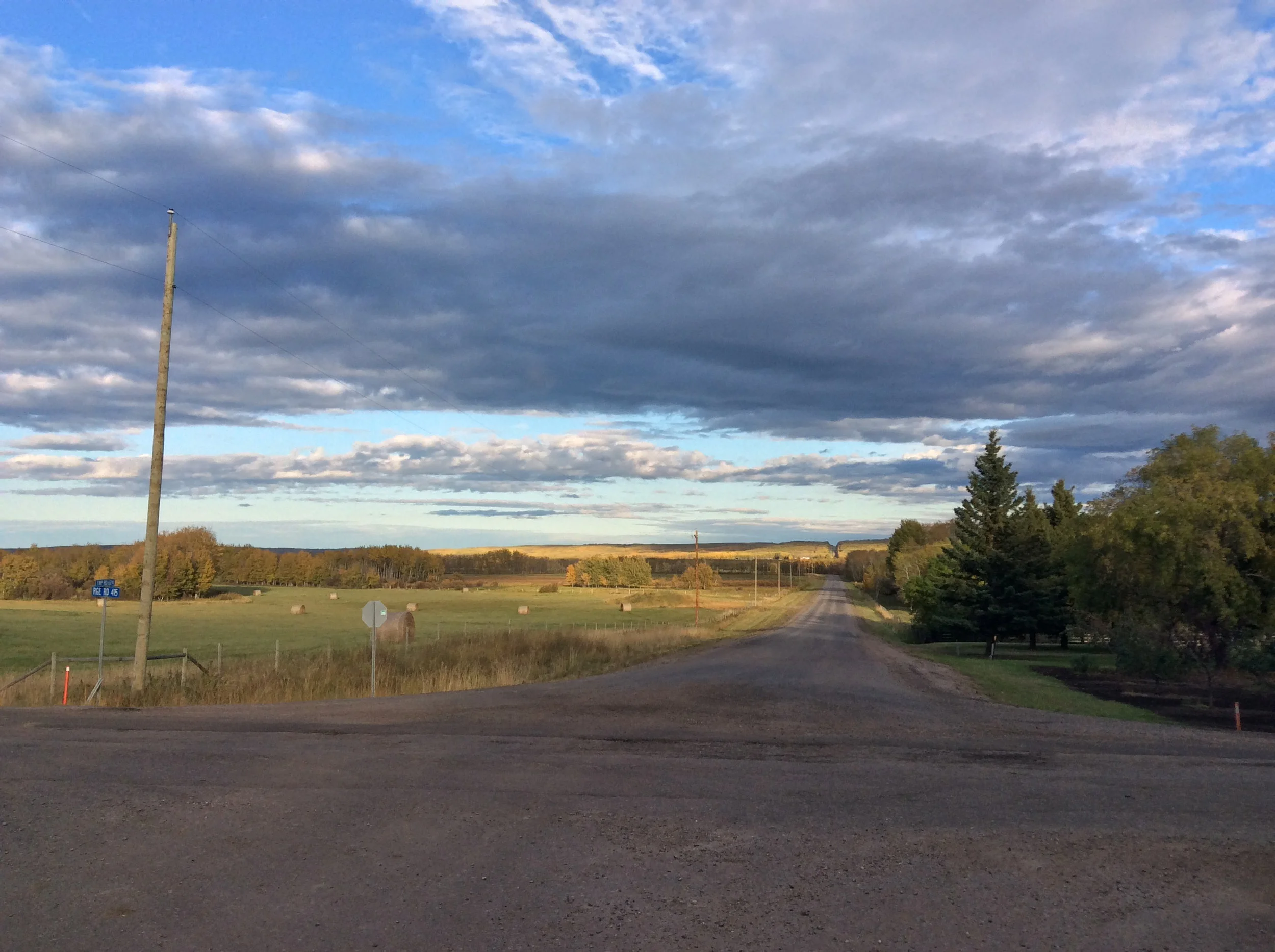 E-Tree Farm Long Run