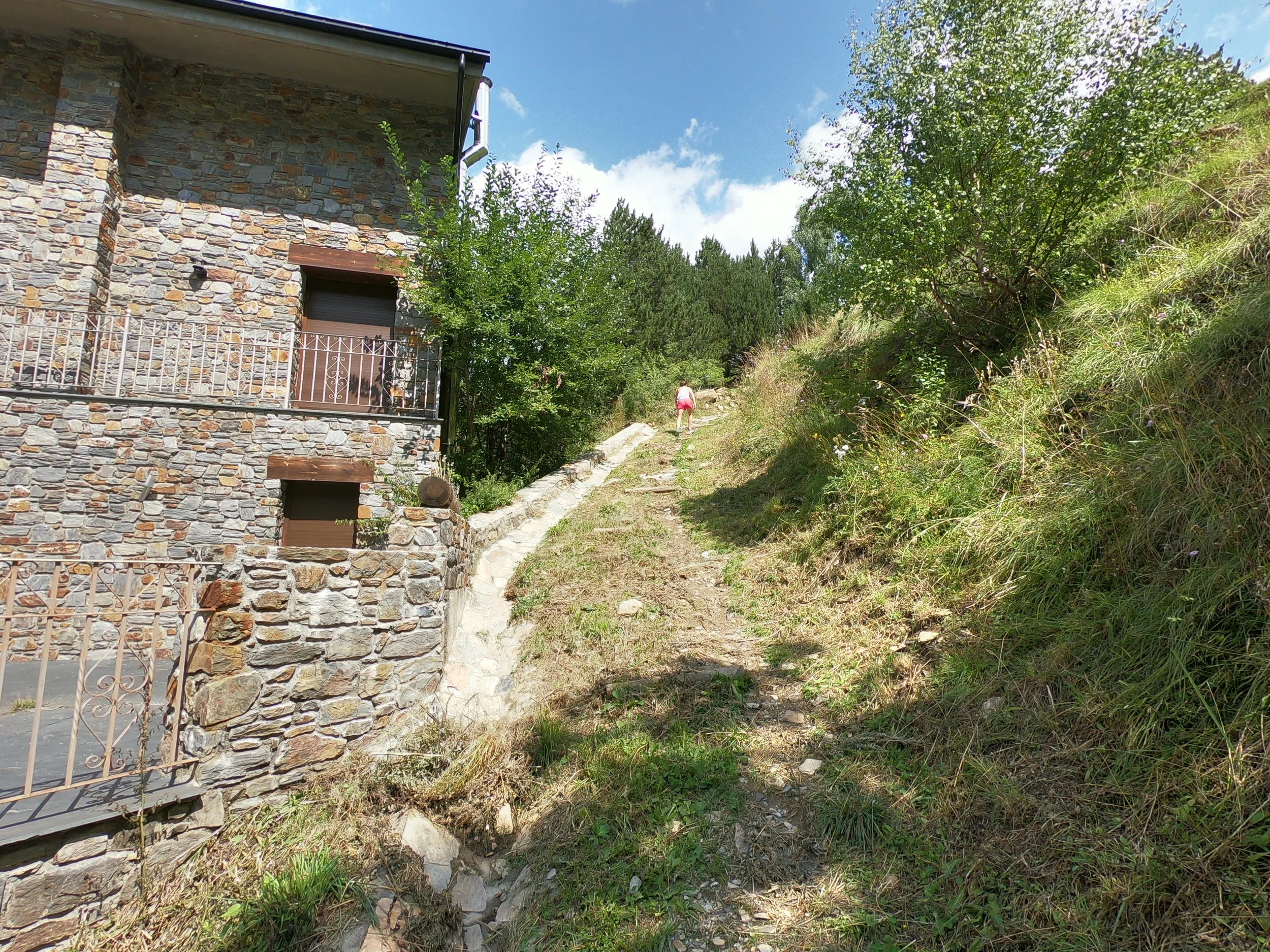 This photo was taken just past the red bunny rabbit sign (seen above). The route goes up and to the right. There are wooden steps that are staked into the earth with steel stakes (concrete rebar), which protrude from the stakes a bit in a few areas.
