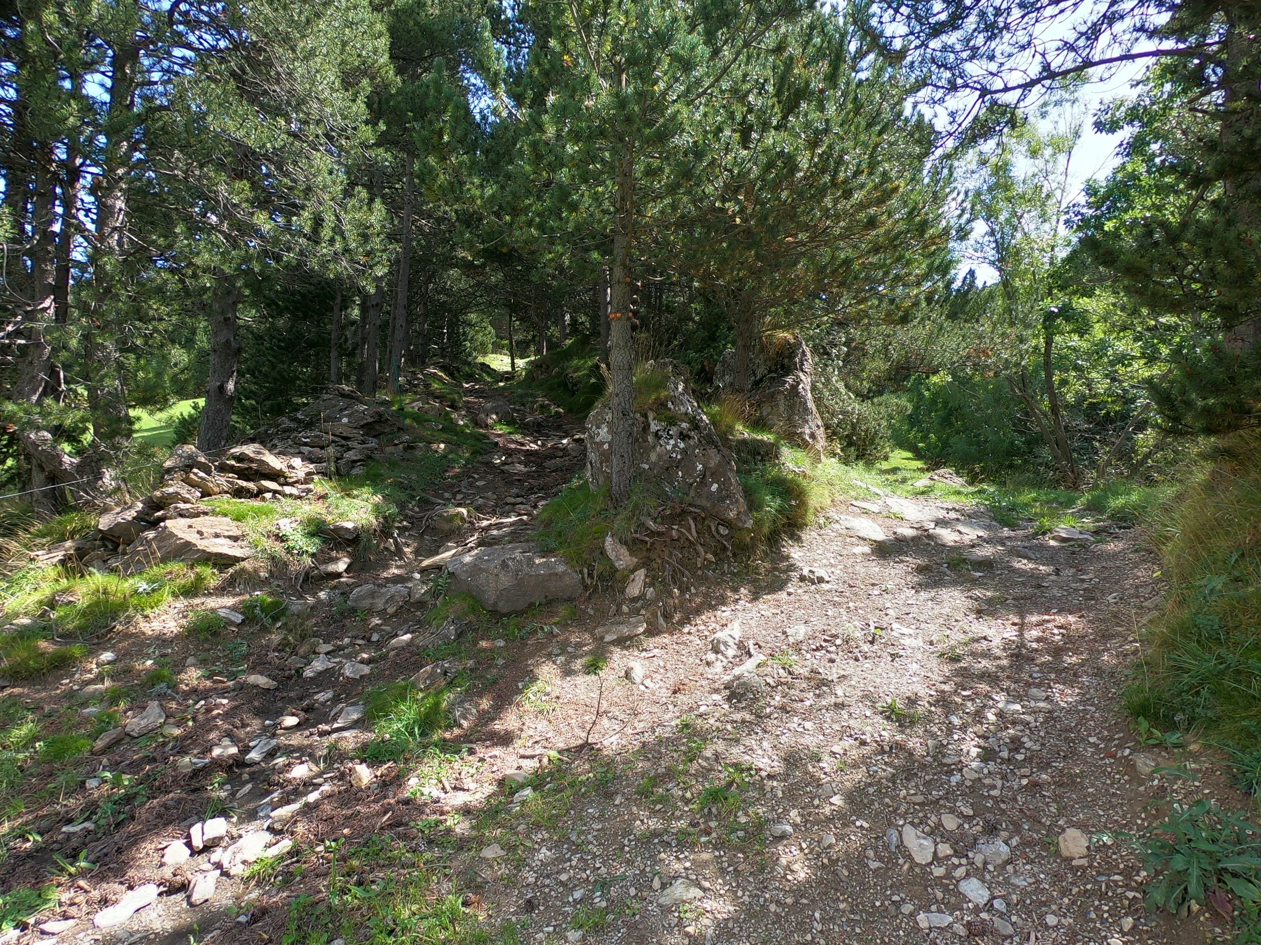 The course map shows the route going to the right here. This is about 2 km into the race.