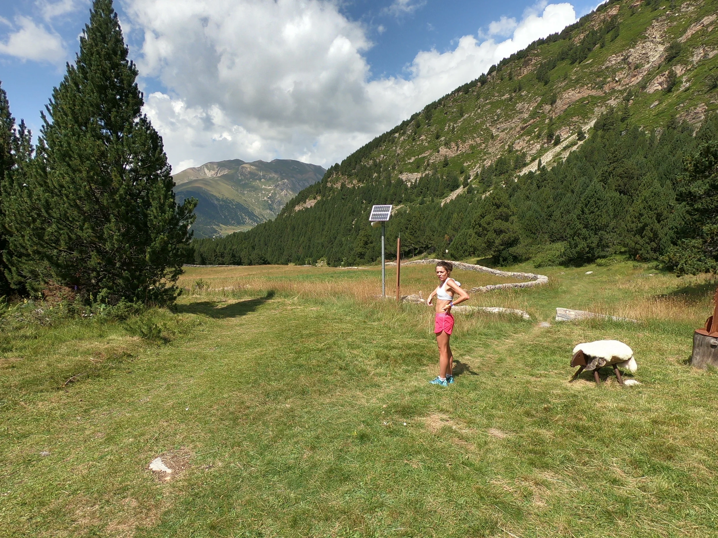 You get to an open meadow, which you run around the right side (along the stone fence). The small opening between the logs (next to the sheep display) has a black arrow on it. The meadow is just past 5 km into the race.
