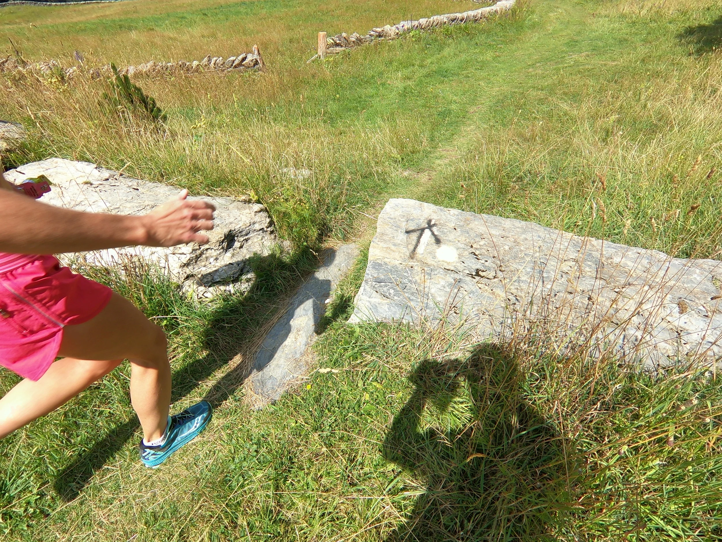 The opening between the logs. I believe the black x's mark the WMRC route. I also saw blue circles, red circles, yellow circles, orange circles and grey metal poles but I don't think those are for our race.