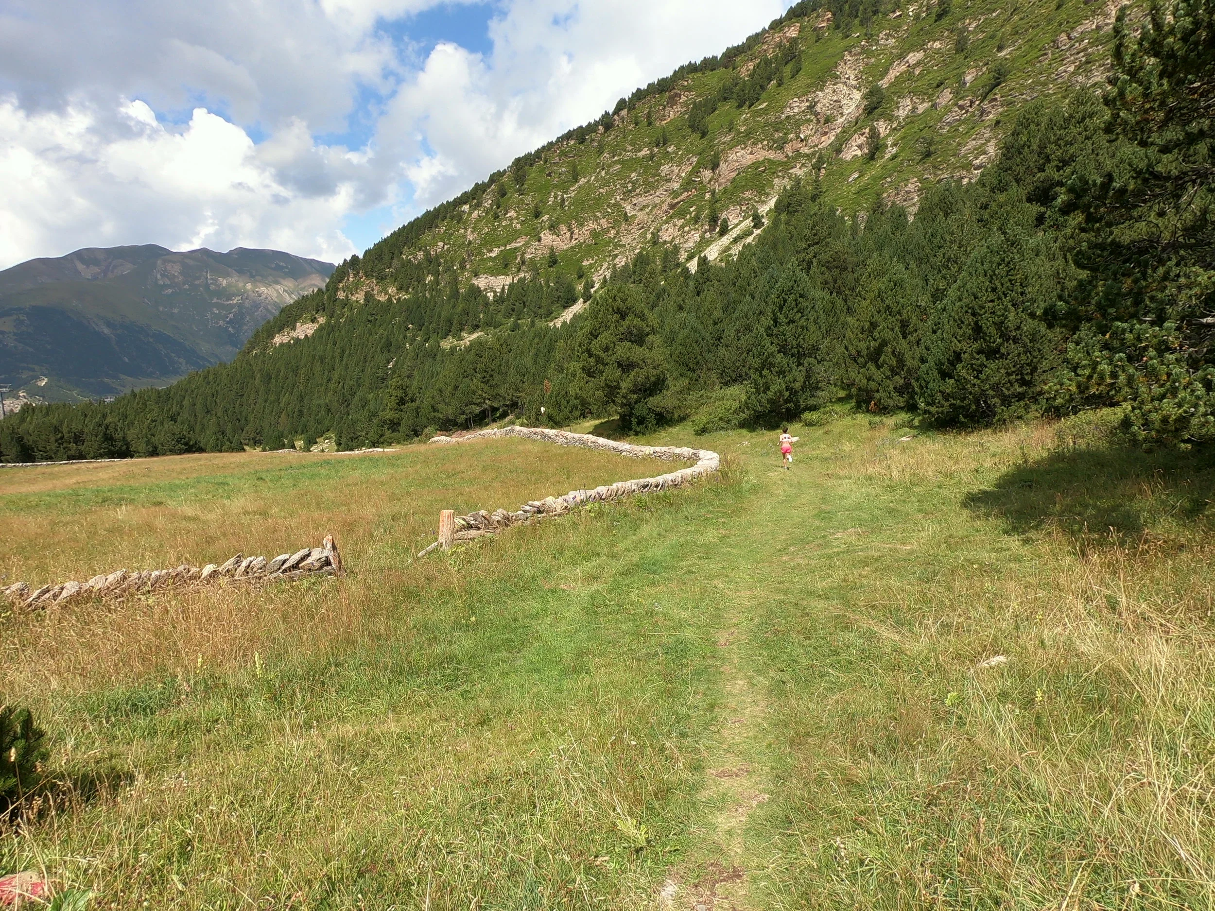 Following the stone fence around the meadow. This section is still downhill on grass and some rocks.