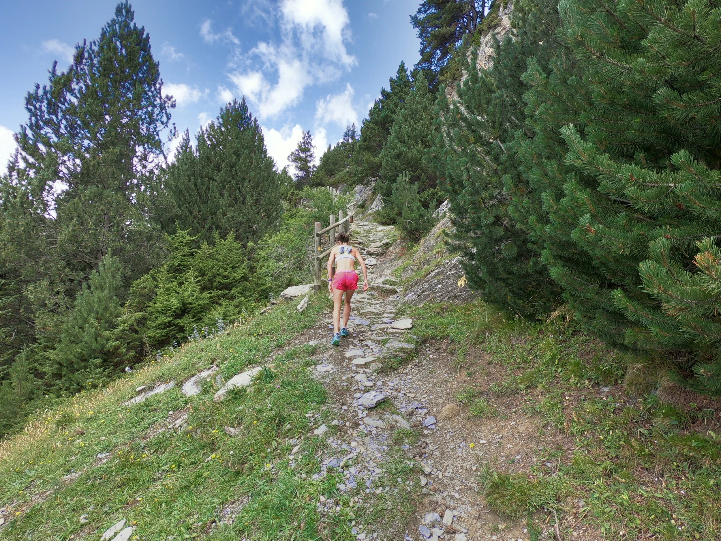 One of the uphill sections.