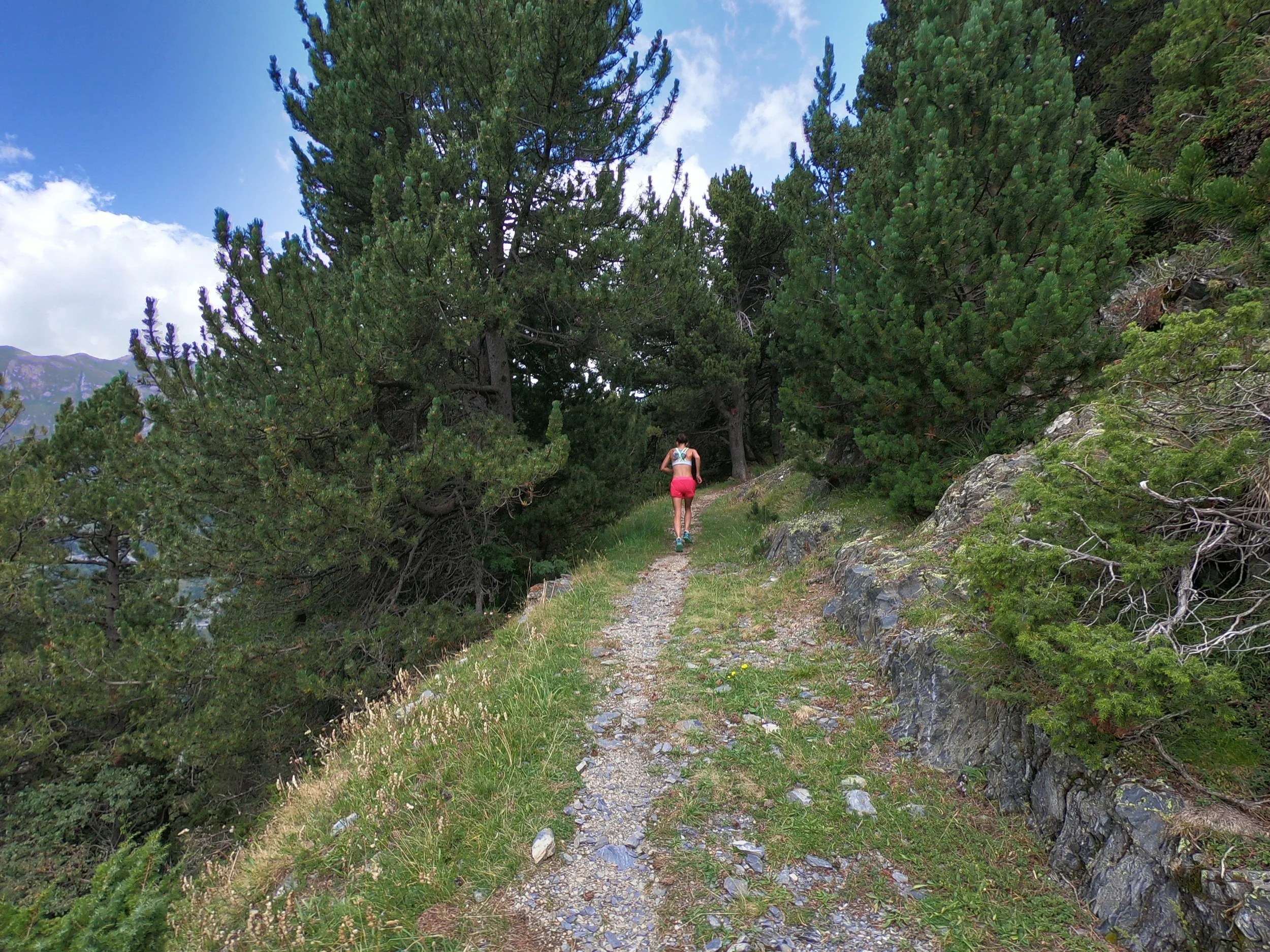 Typical terrain from km 5 to km 9.