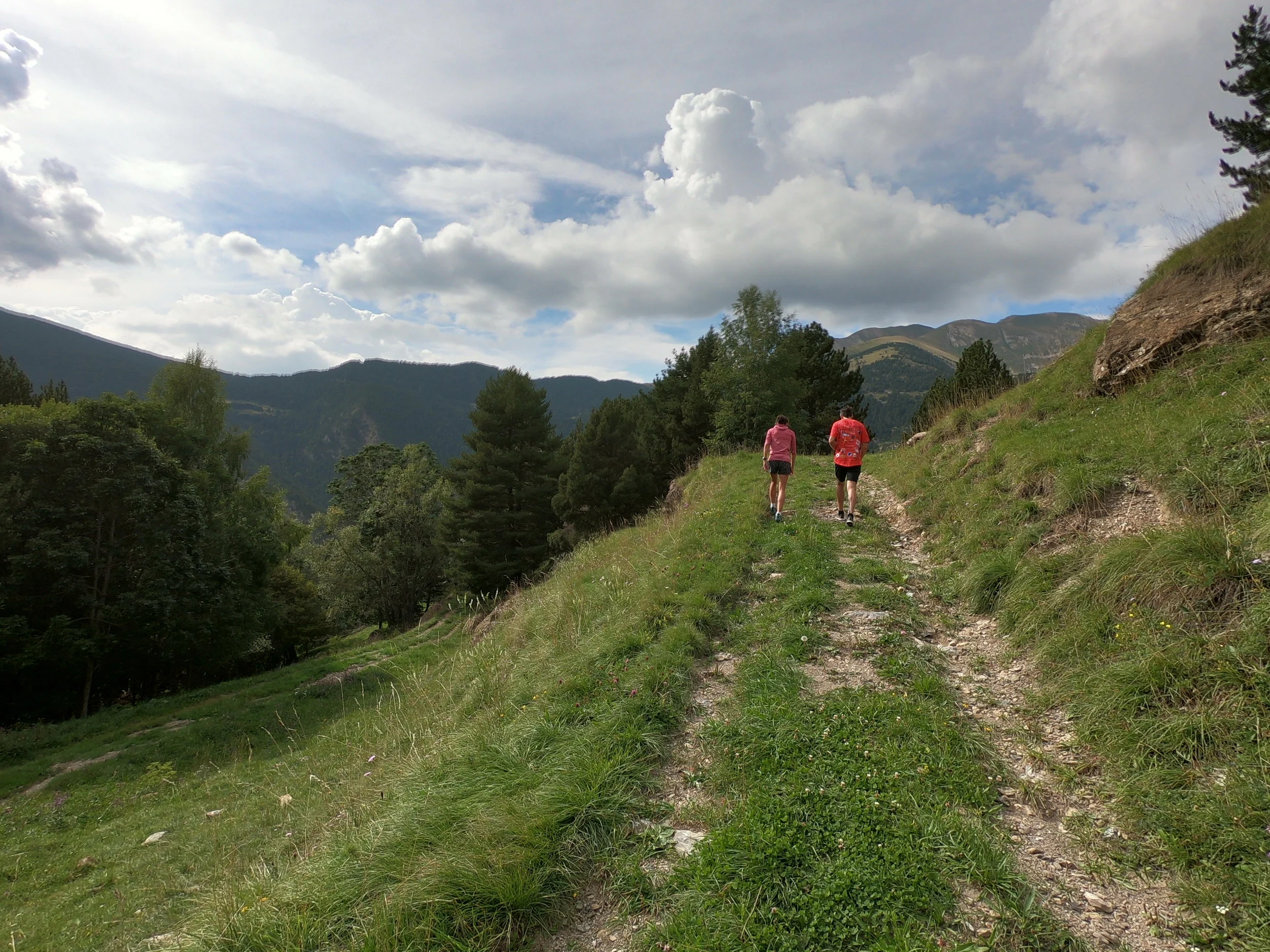 On one of three switchbacks before getting to the paved road.
