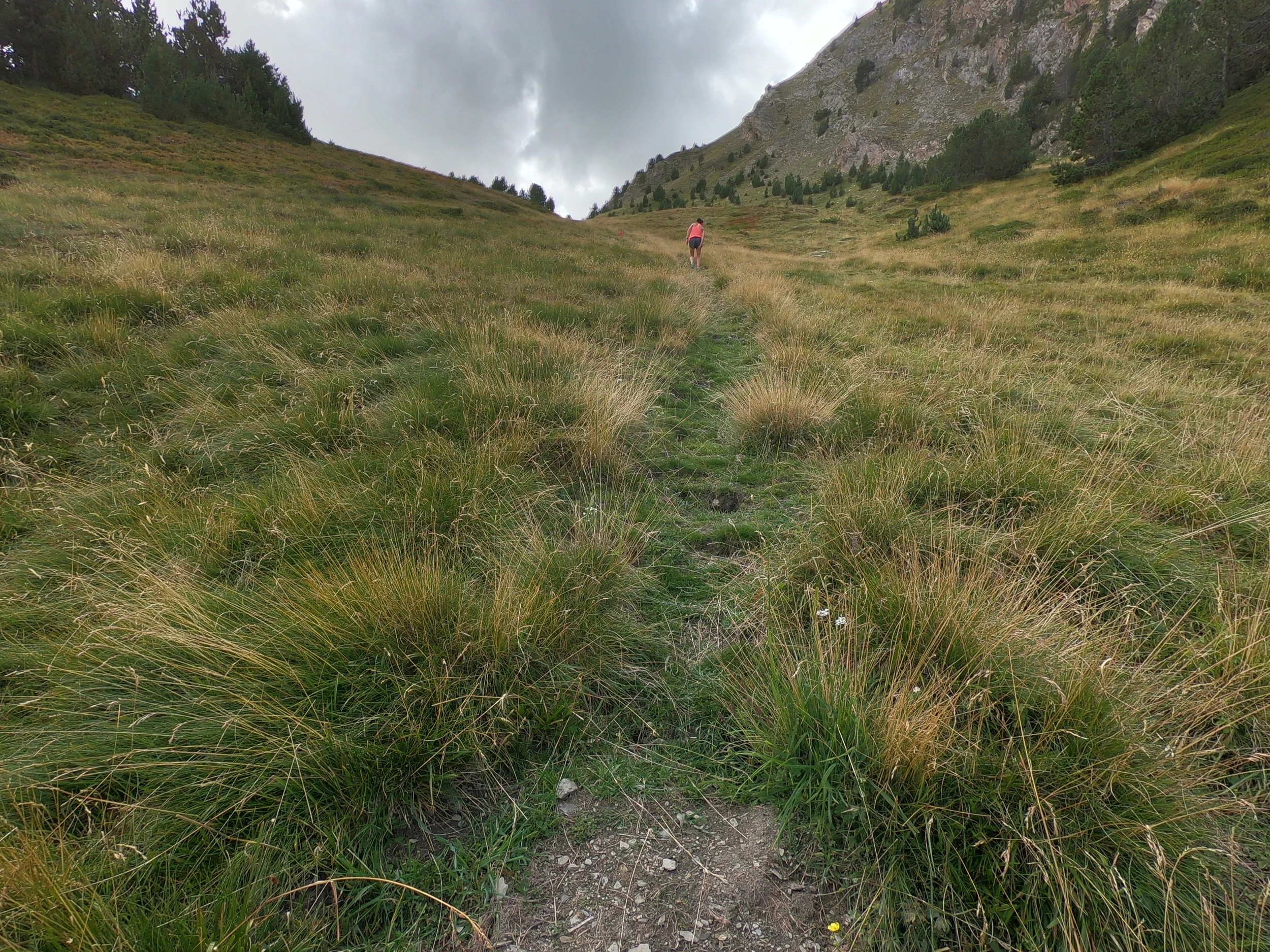 Continue up the grass ski slope. The grass is long and the trail is faint but I think it will be well marked on race day.