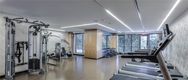 36 Park- gym.jpg