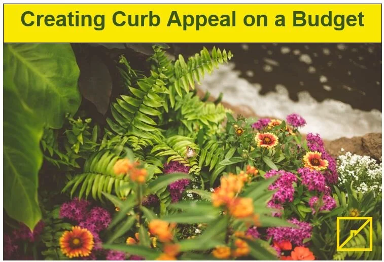 Creating Curb Appeal on a Budget