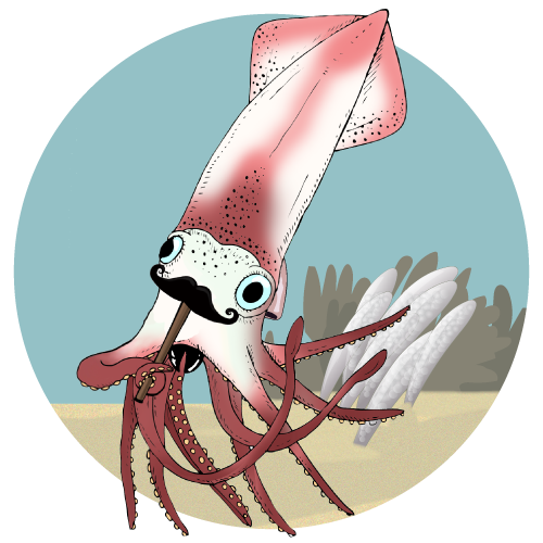 Squidtoons