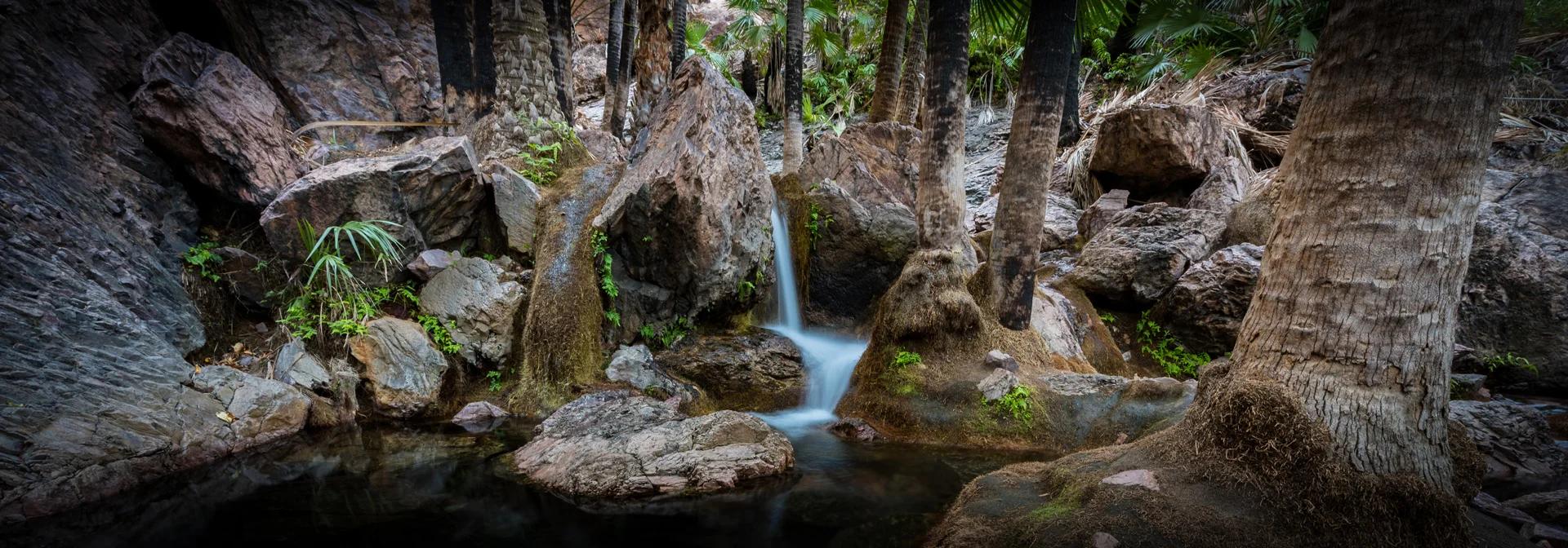 Edited_RM_080_Fountain-of-Life-7x20.jpg