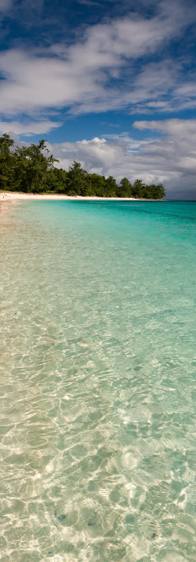 Edited_RM_050_Jaco-Clarity-7x20.jpg