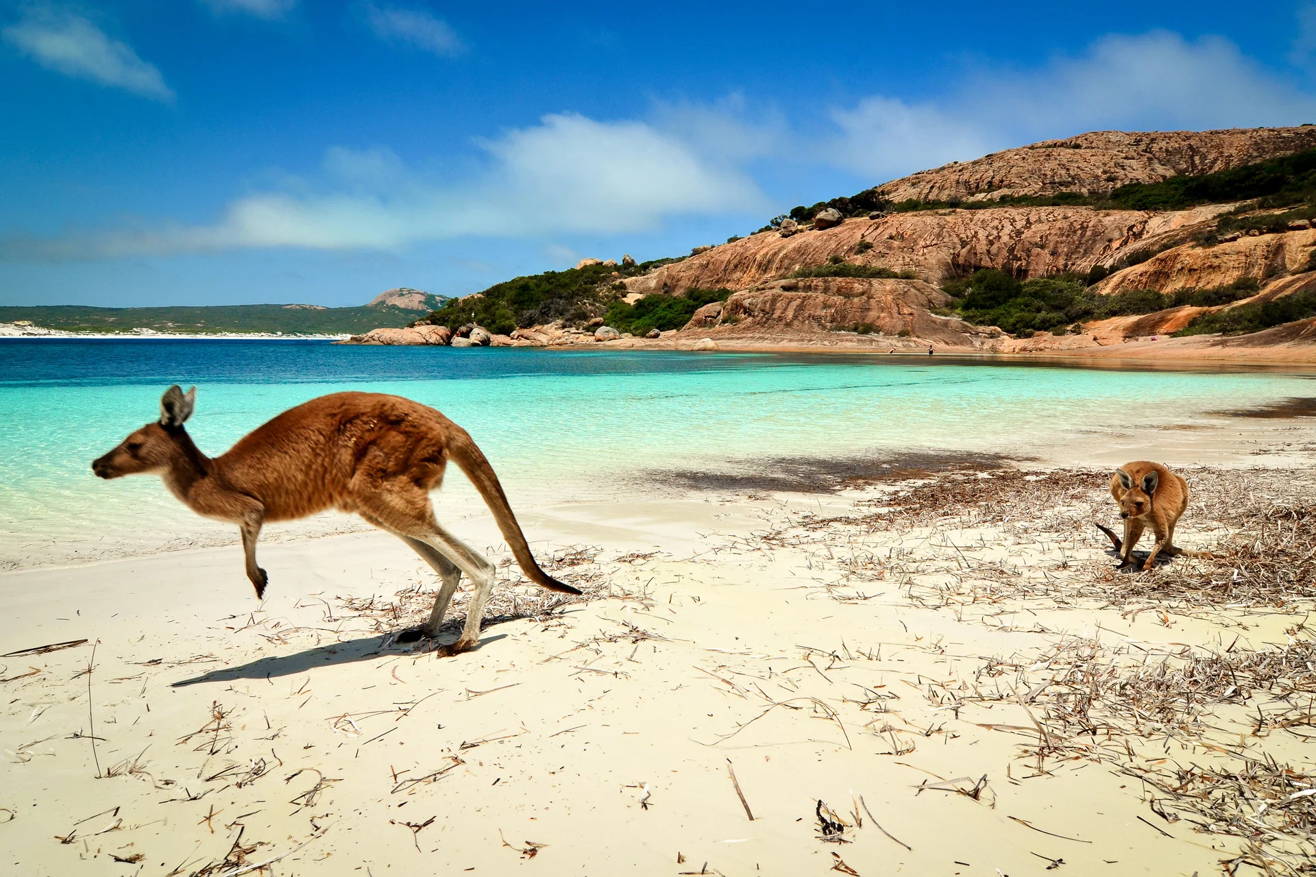 Edited_RM_063_Skippy-Luck-12x18.jpg
