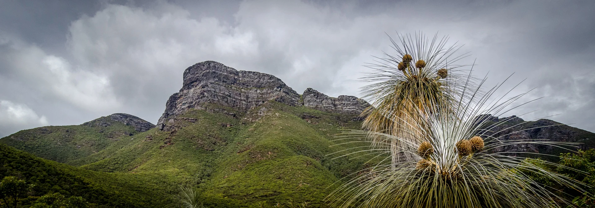 Edited_RM_064_Spike-Mountain-7x20.jpg
