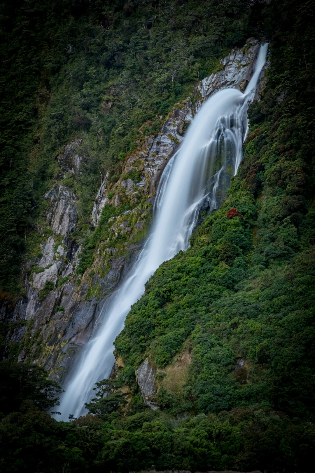Edited_RM_092_Flow-of-Life-12x18.jpg