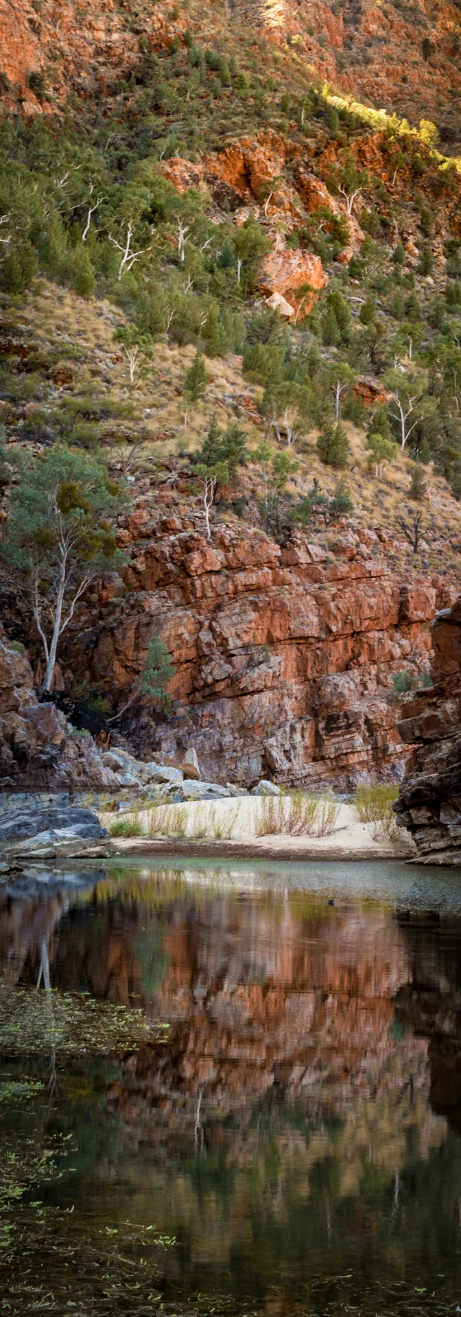 Edited_RM_019_Ormiston-Gorge_7x20.jpg
