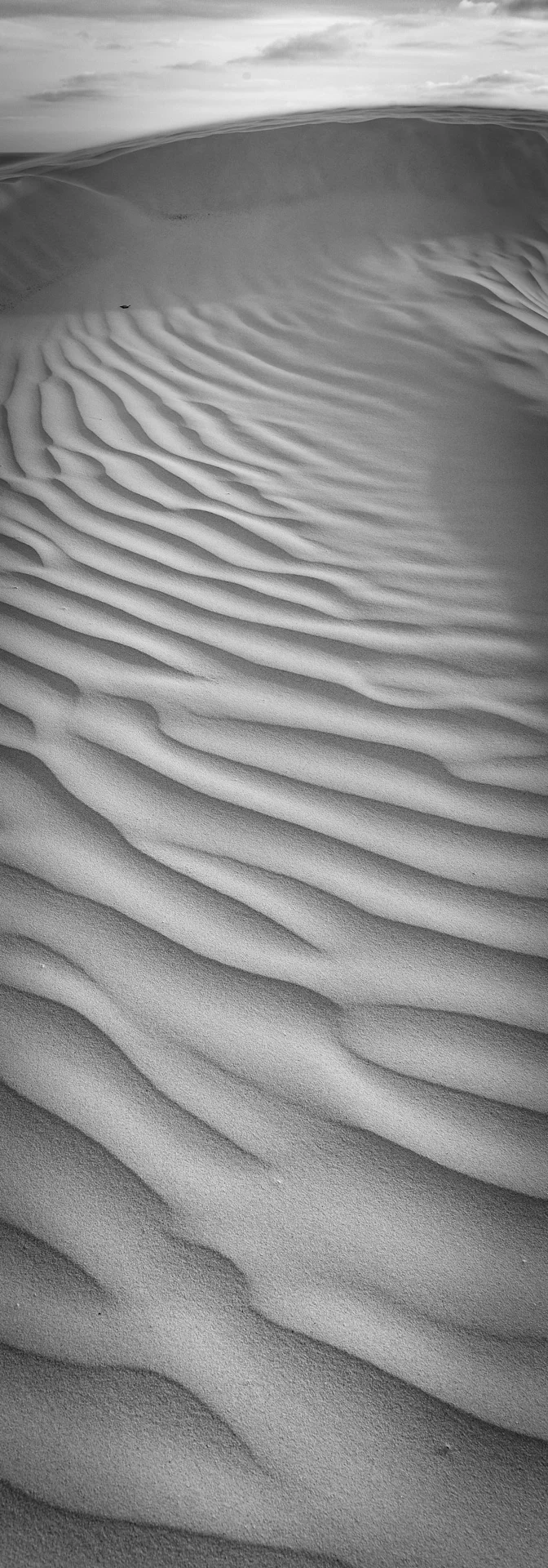 Edited_RM_025_Circular-Sands-7x20.JPG