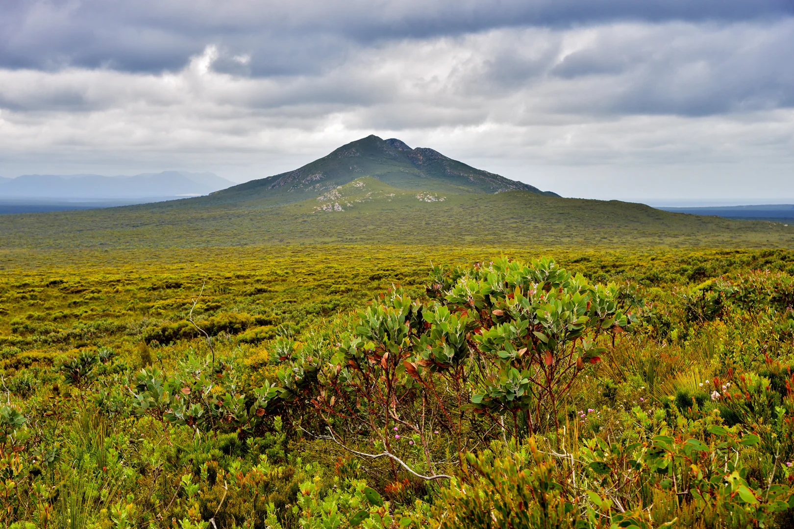 Edited_RM_061_Fitzgerald-Peak-12x18.jpg