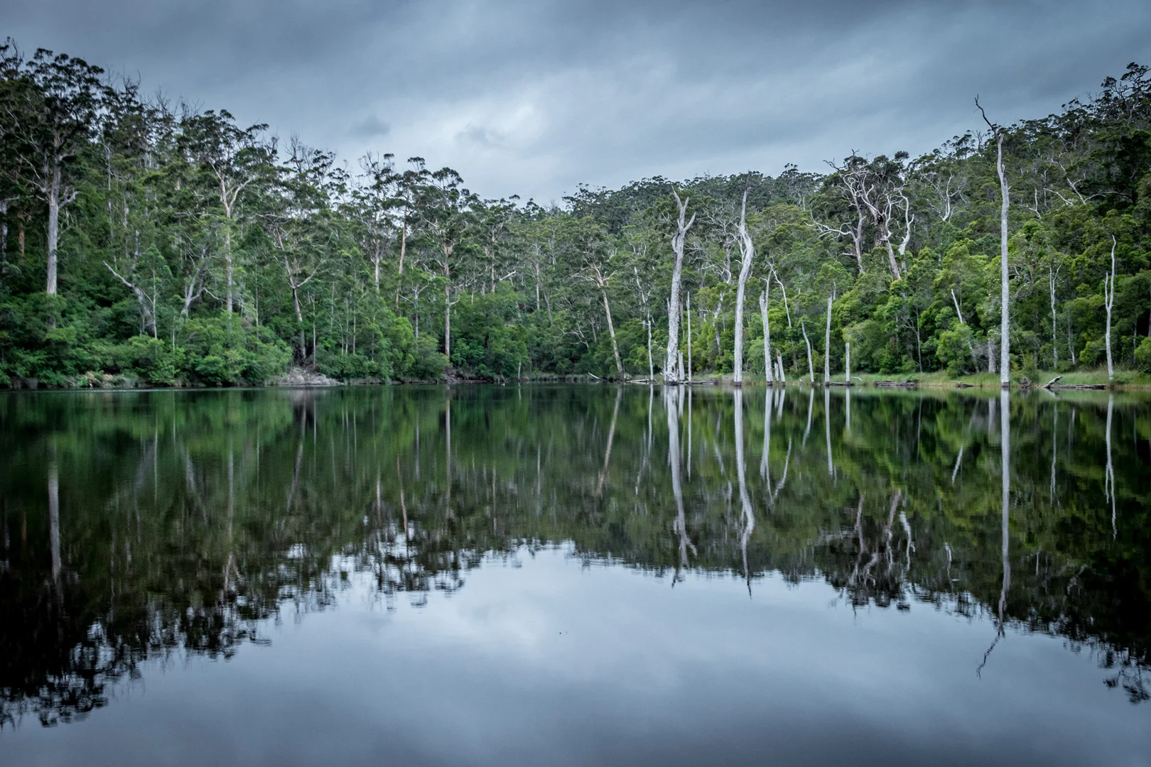 Edited_RM_134_Dead-Waters-12x18.jpg