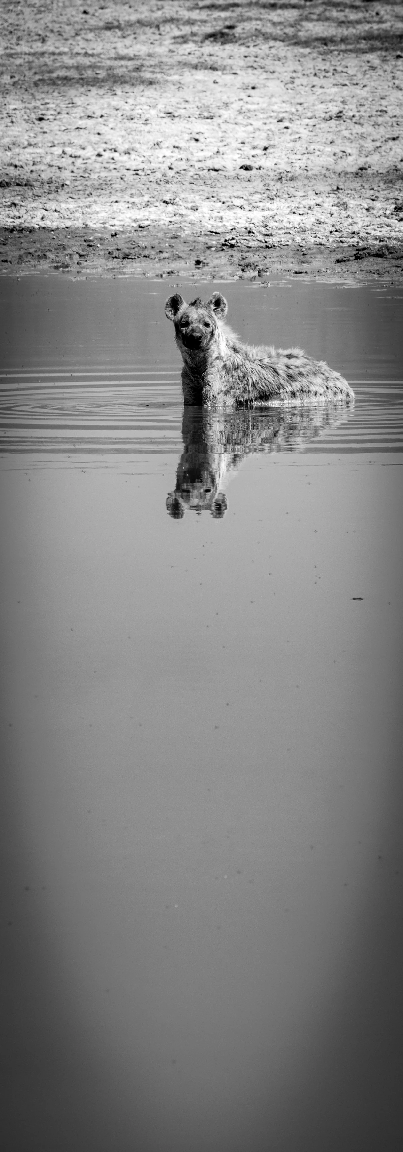 Edited_RM_001_Water glance 7x20_.jpg