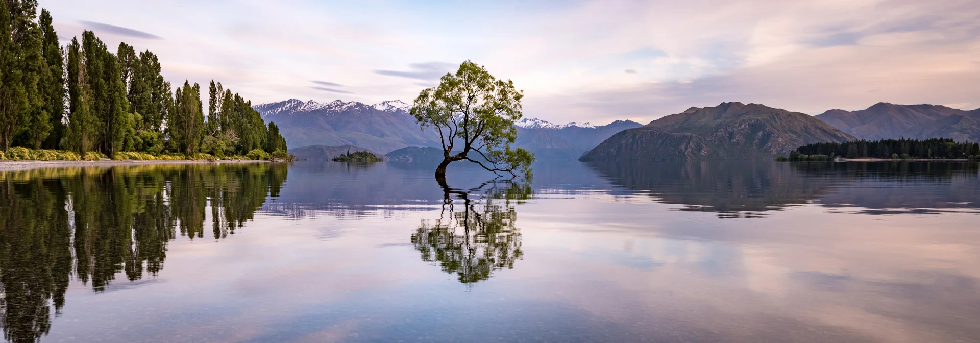 Edited_RM_095_That-Wanaka-Tree-7x20.jpg