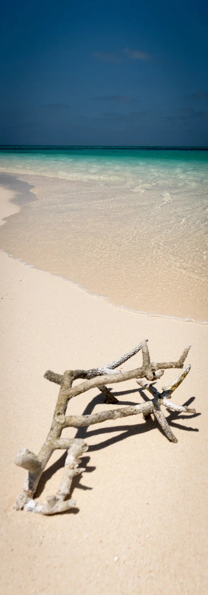 Edited_RM_129_Staghorn-Beach-7x20.jpg