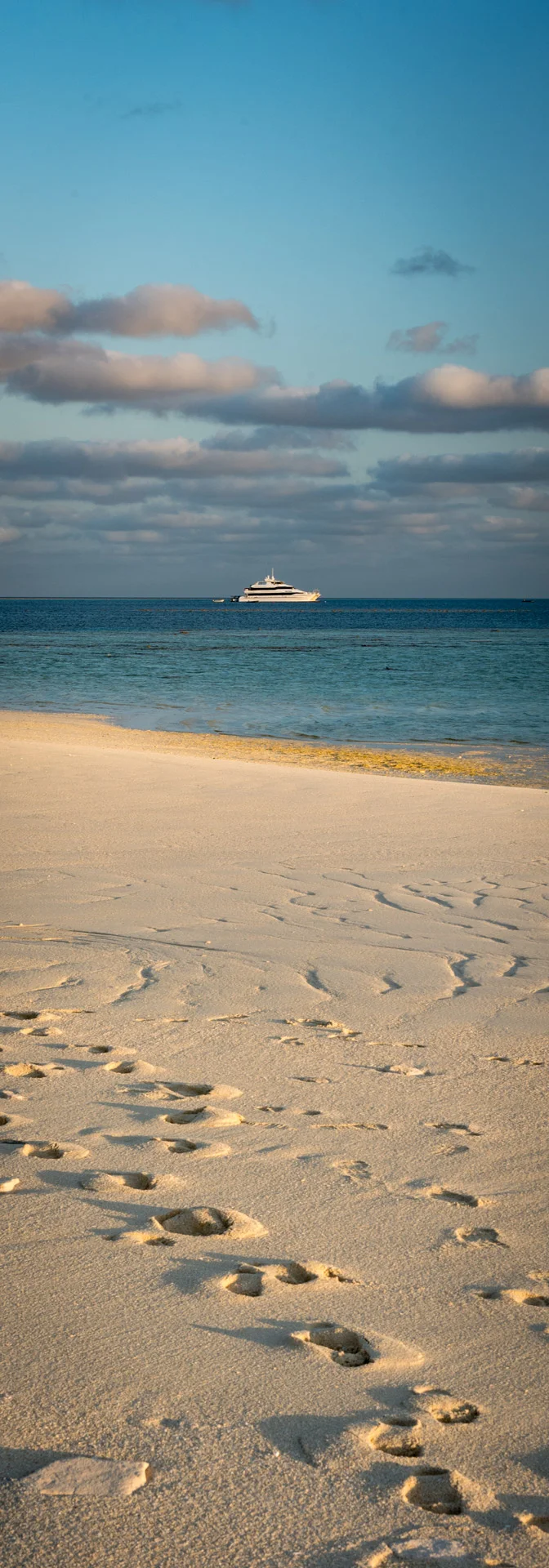 Edited_RM_128_Reef-Prince-7x20.jpg