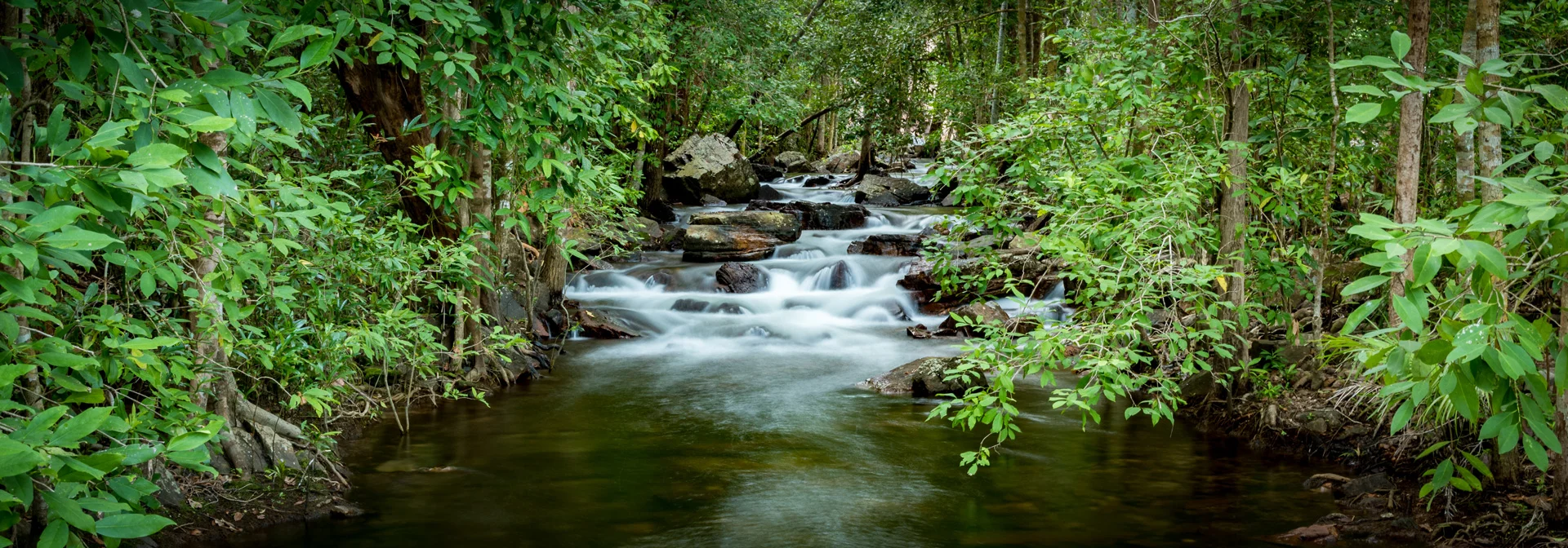 Edited_RM_155_Stepping-Stones-7x20.jpg