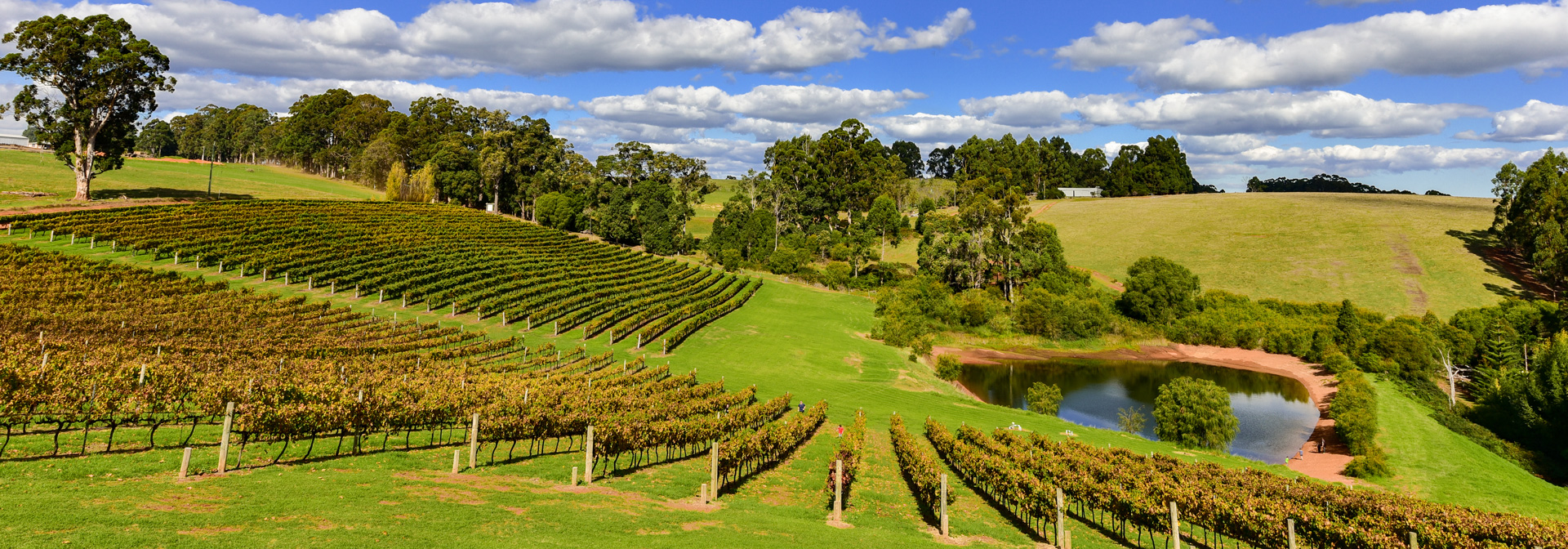 Edited_RM_144_Vine-Hill-7x20.jpg