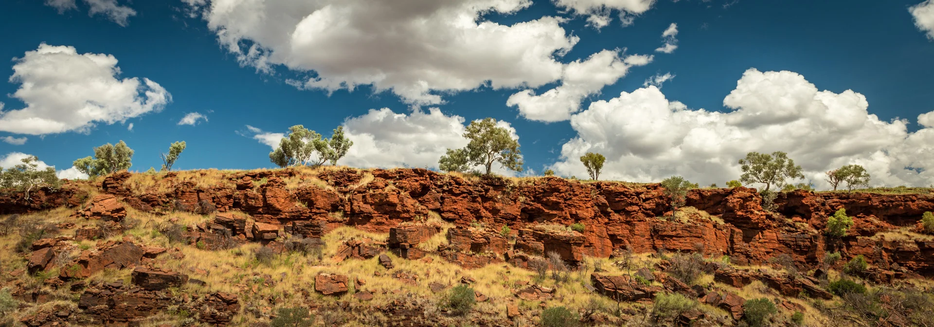 Edited_RM_075_Tree-on-a-Hill-7x20.jpg