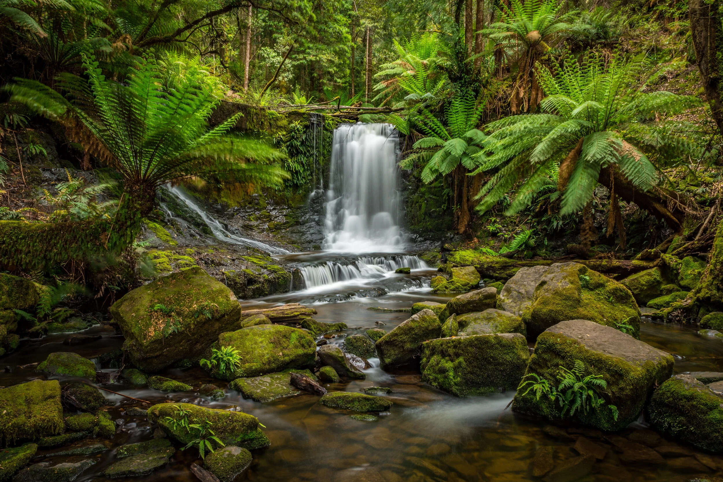 RM_161_Horseshoe Falls_7x20.jpg