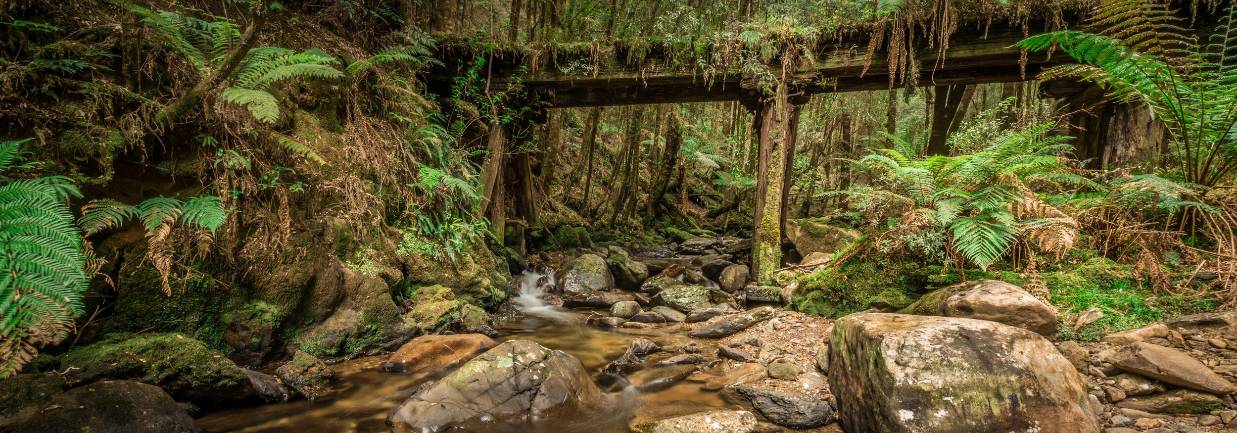 RM_164_Montezuma Bridge_7x20.jpg