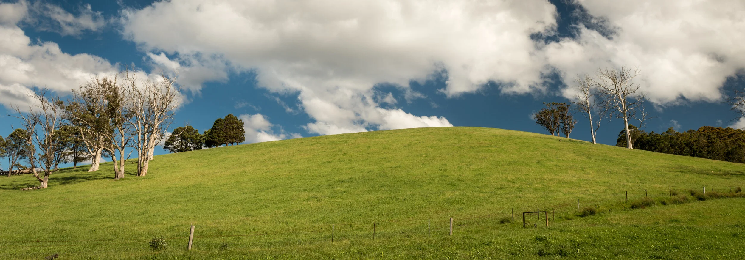 RM_162_Farm Hill_7x20.jpg