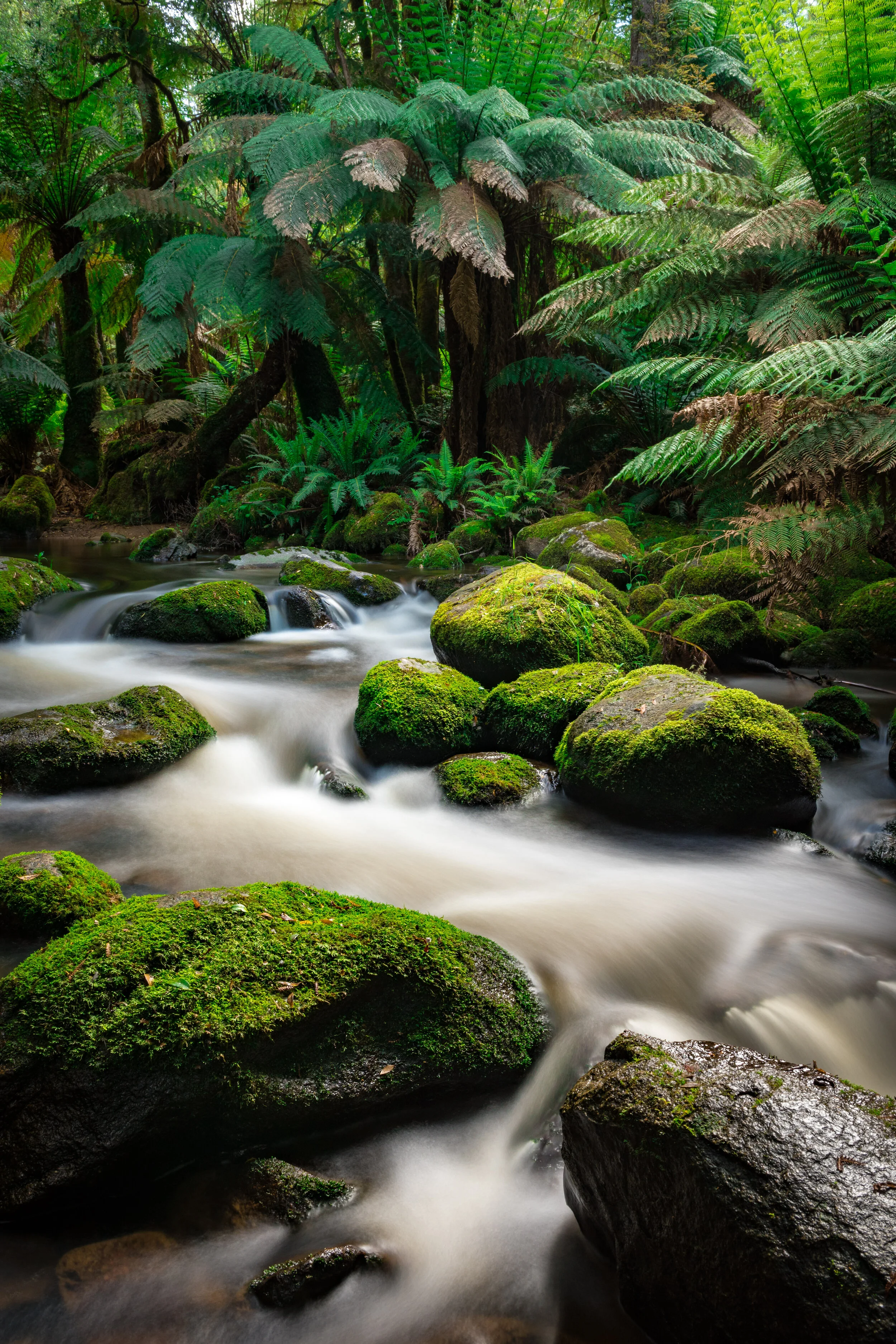 RM_159_Mystic Flow_12x18.jpg