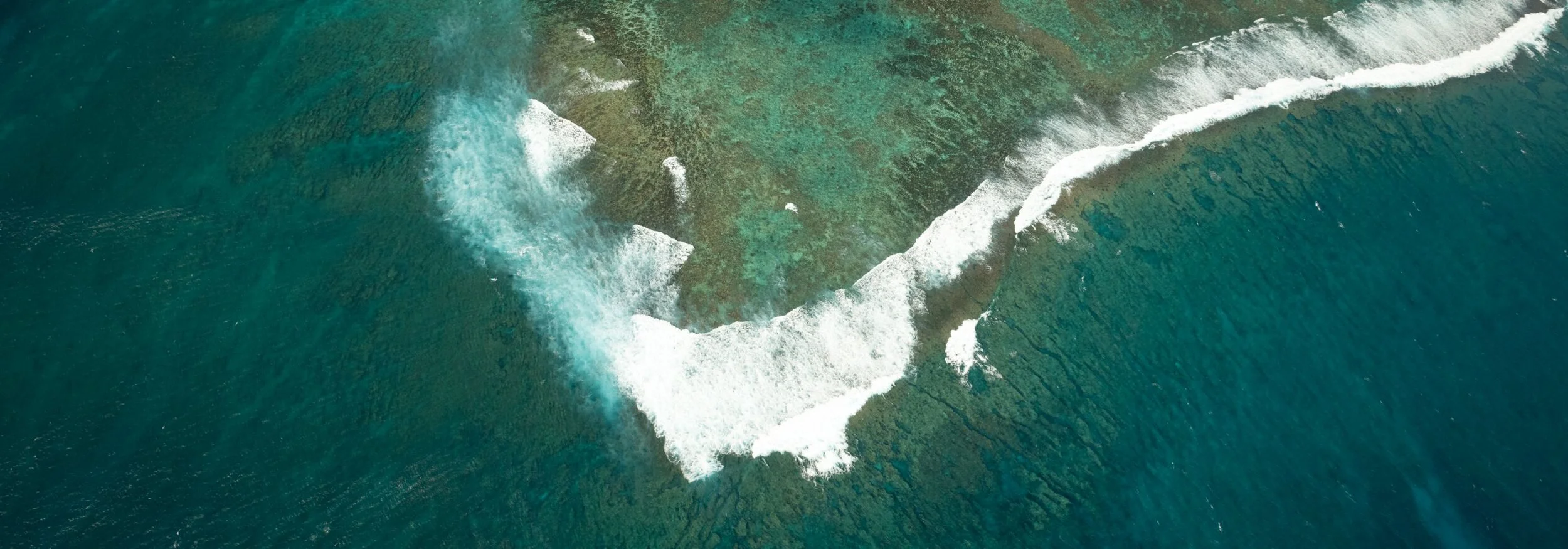 RM_125_Underwater_Reef_7x20.jpg